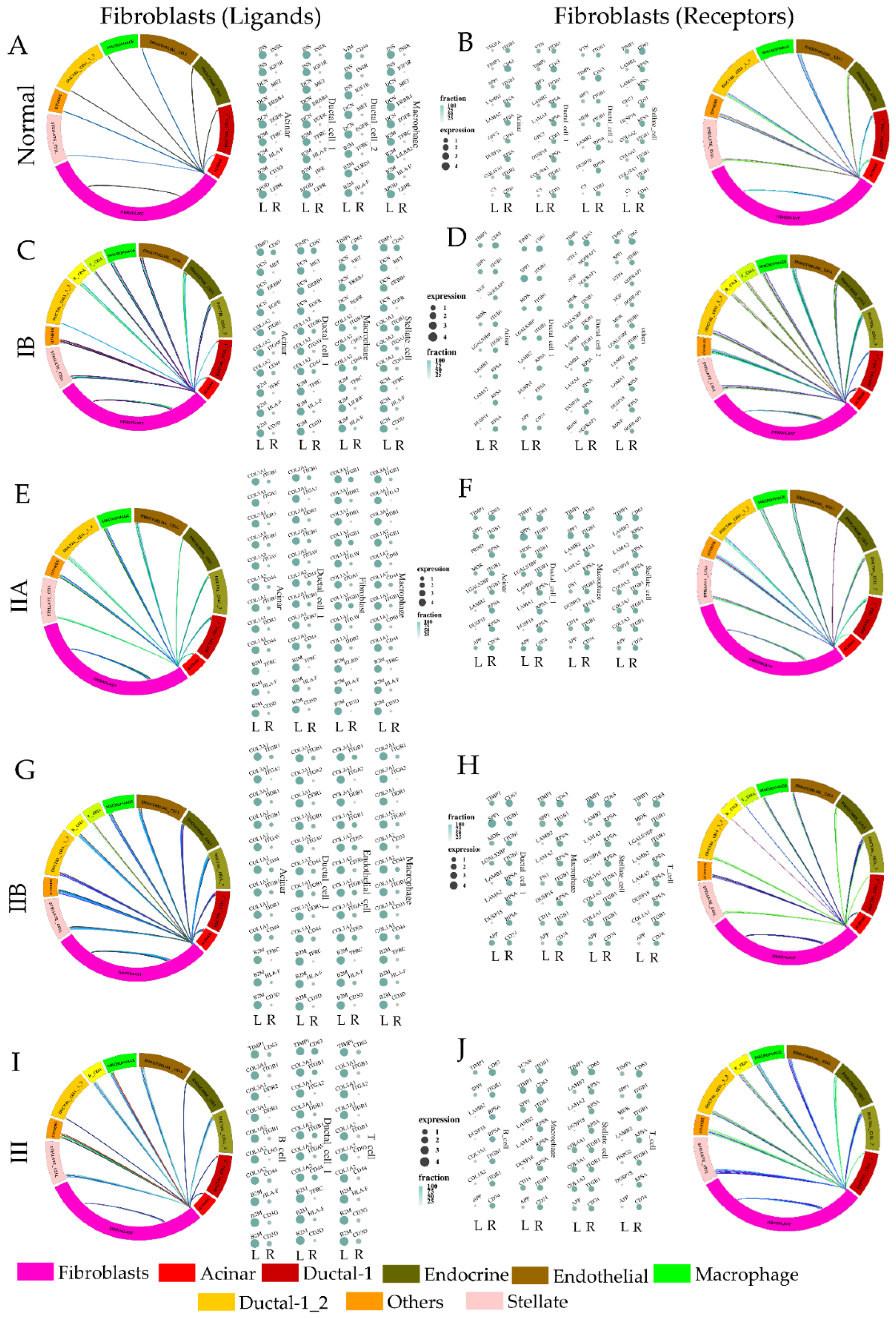 Cancers 14 02197 g004 Cancers 14 02197 g004