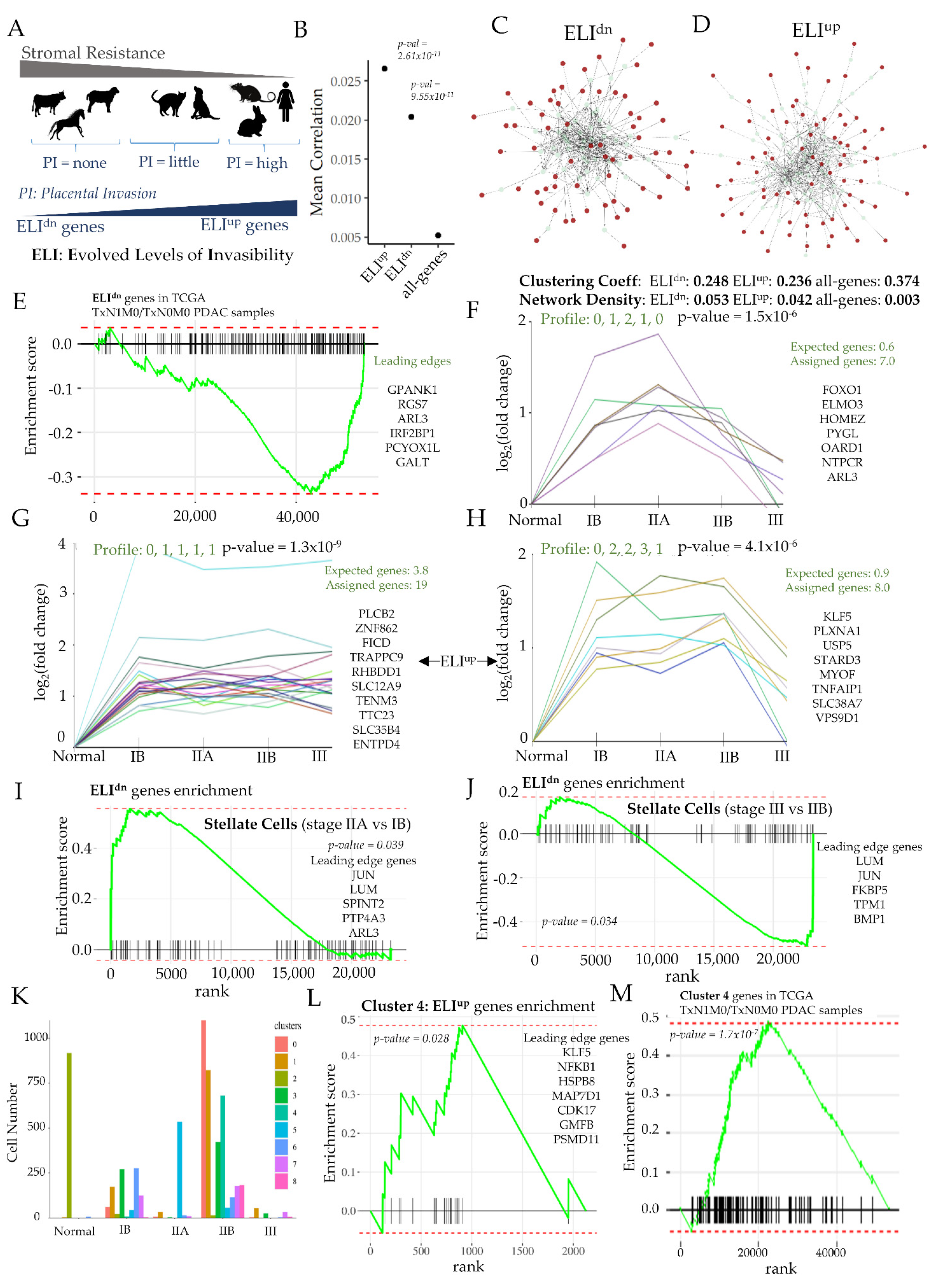Cancers 14 02197 g005 Cancers 14 02197 g005
