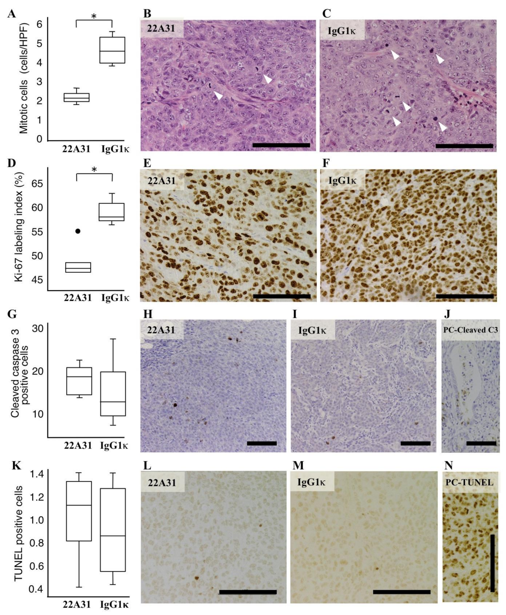 Cancers 14 02198 g003 550