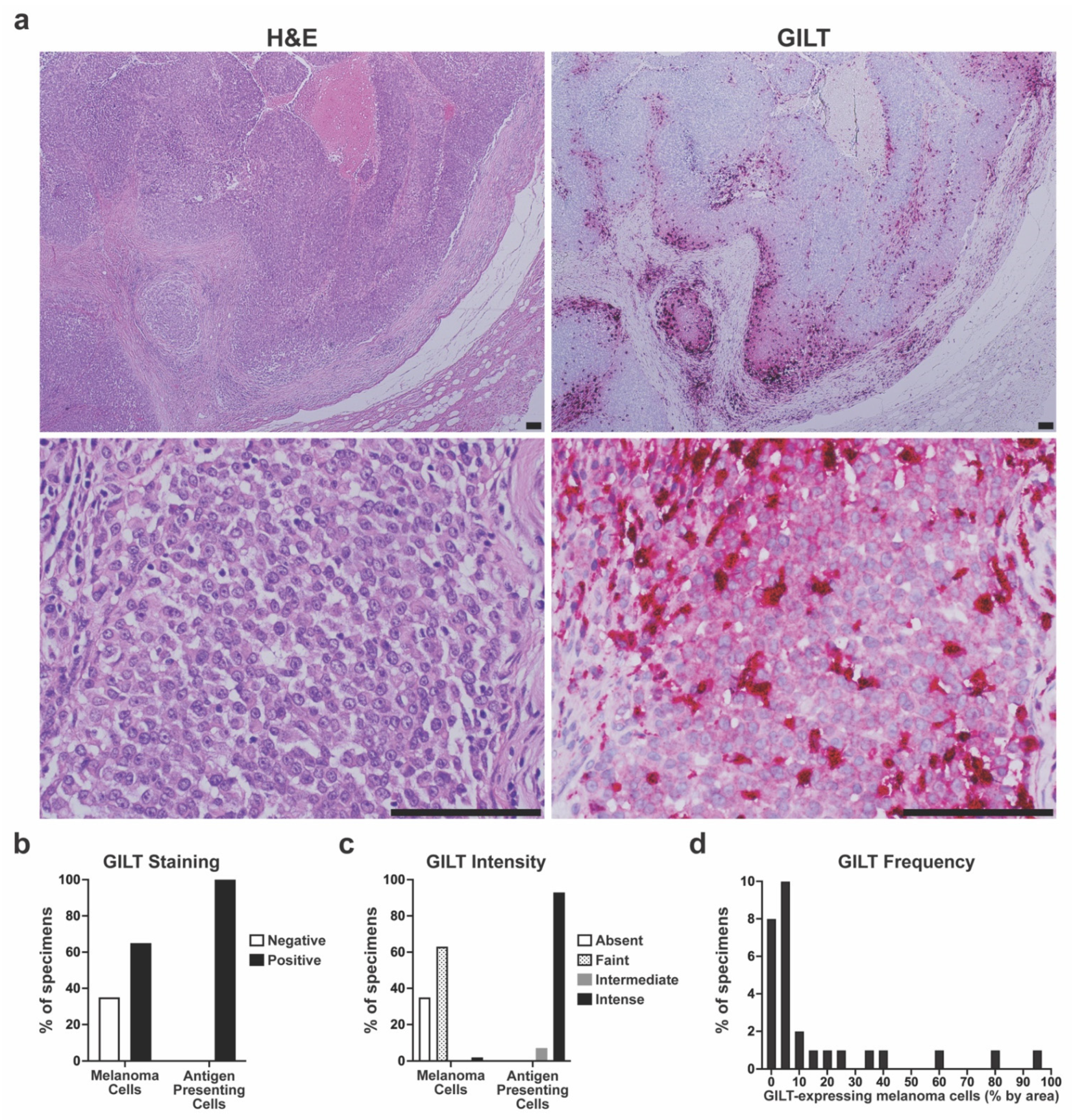 Cancers 14 02200 g002 550