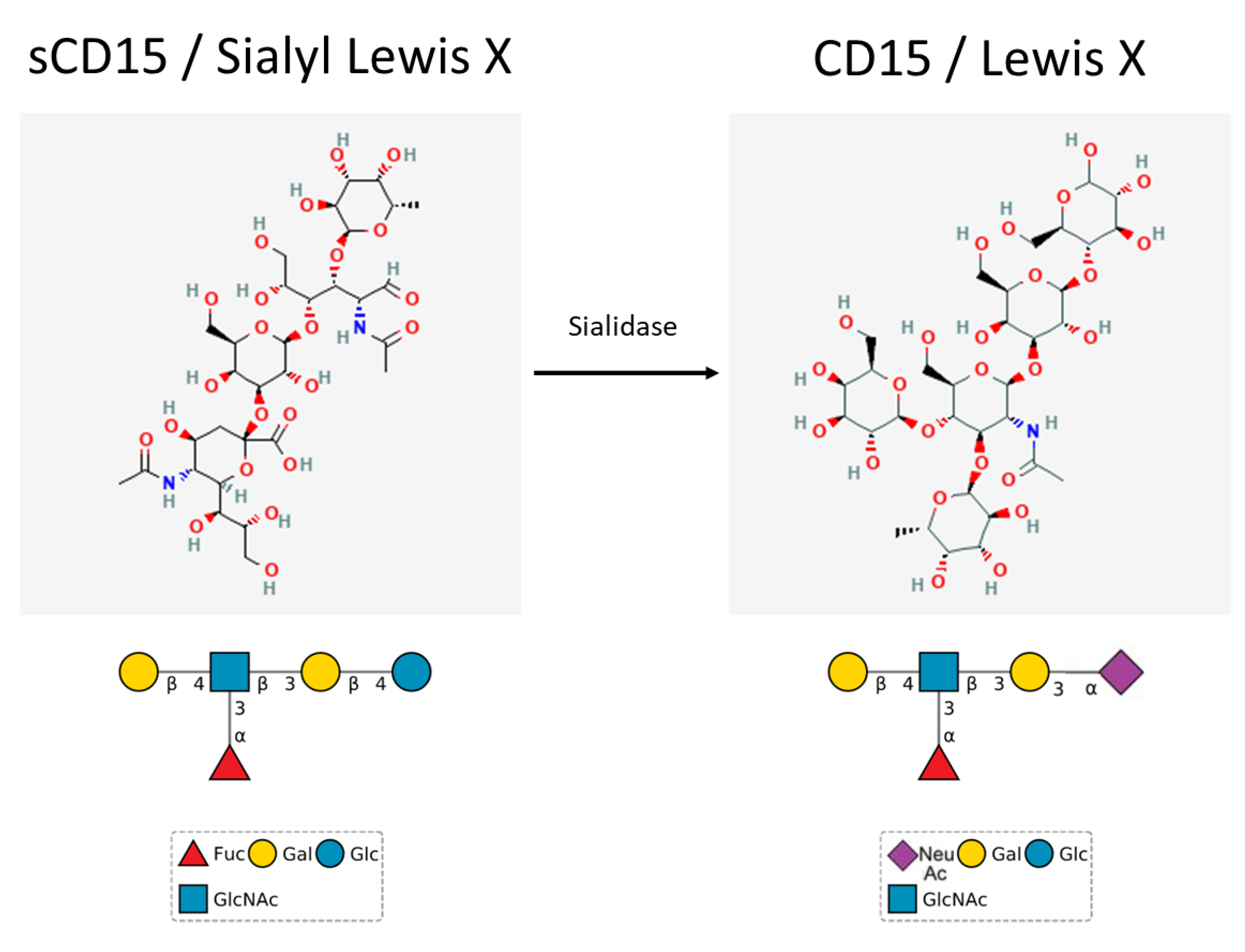 Cancers 14 02203 g001 Cancers 14 02203 g001