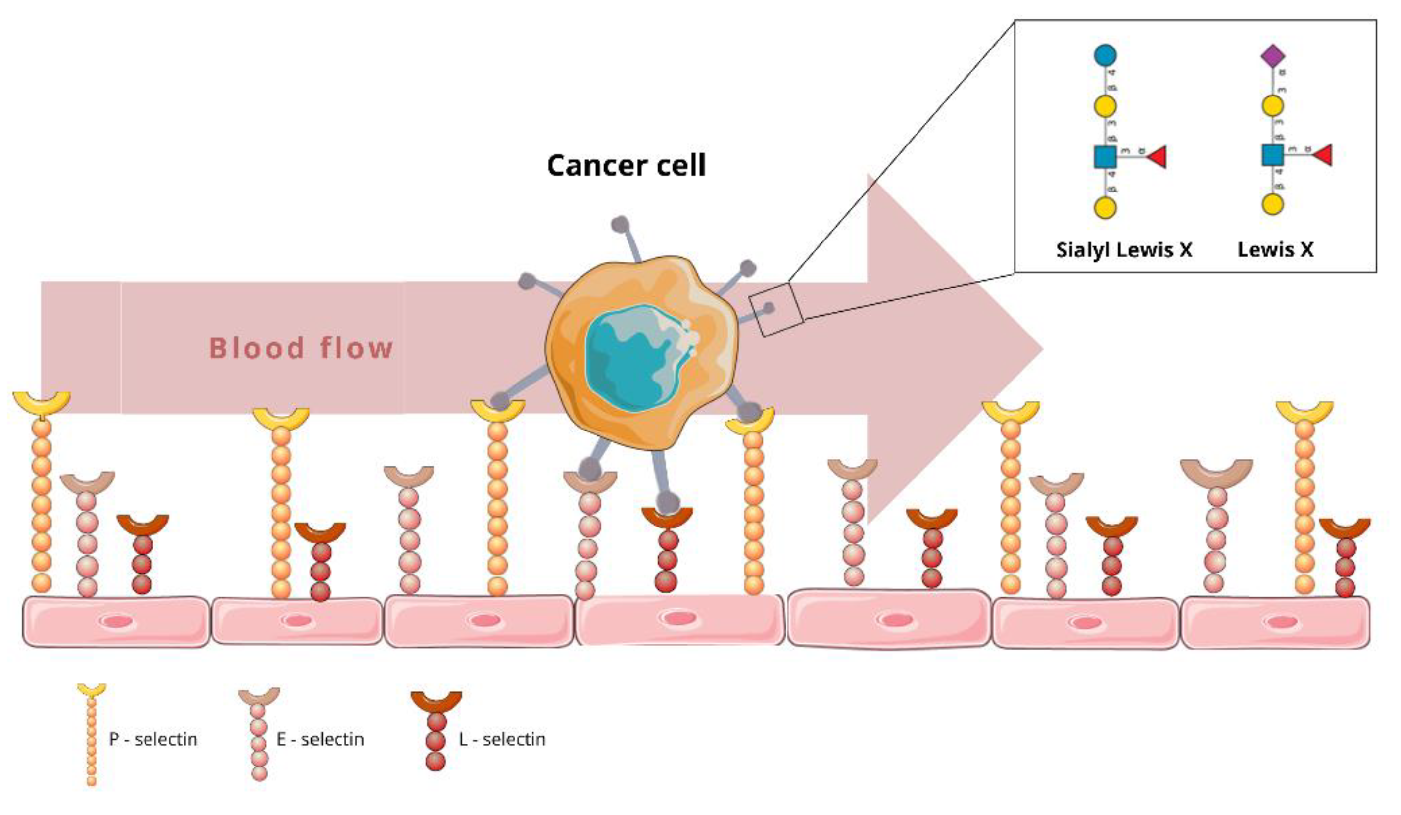 Cancers 14 02203 g002 Cancers 14 02203 g002