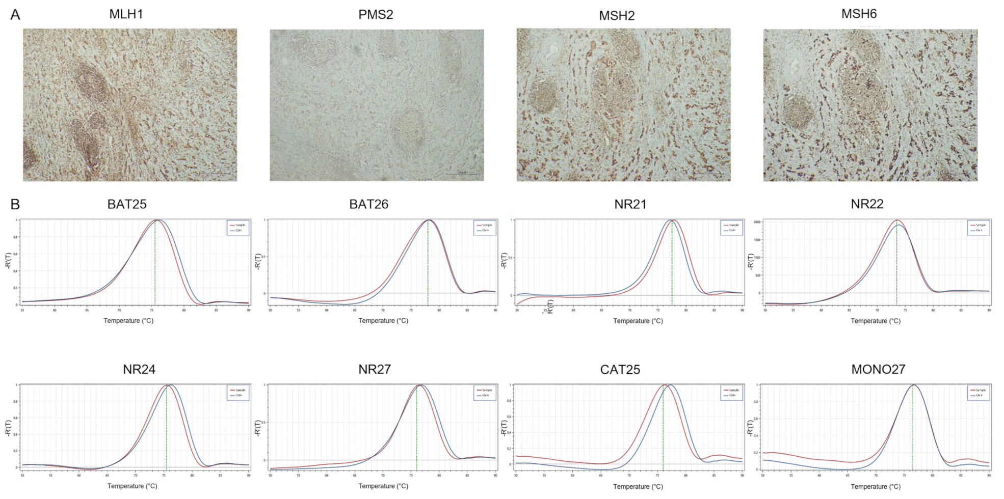 Cancers 14 02204 g007