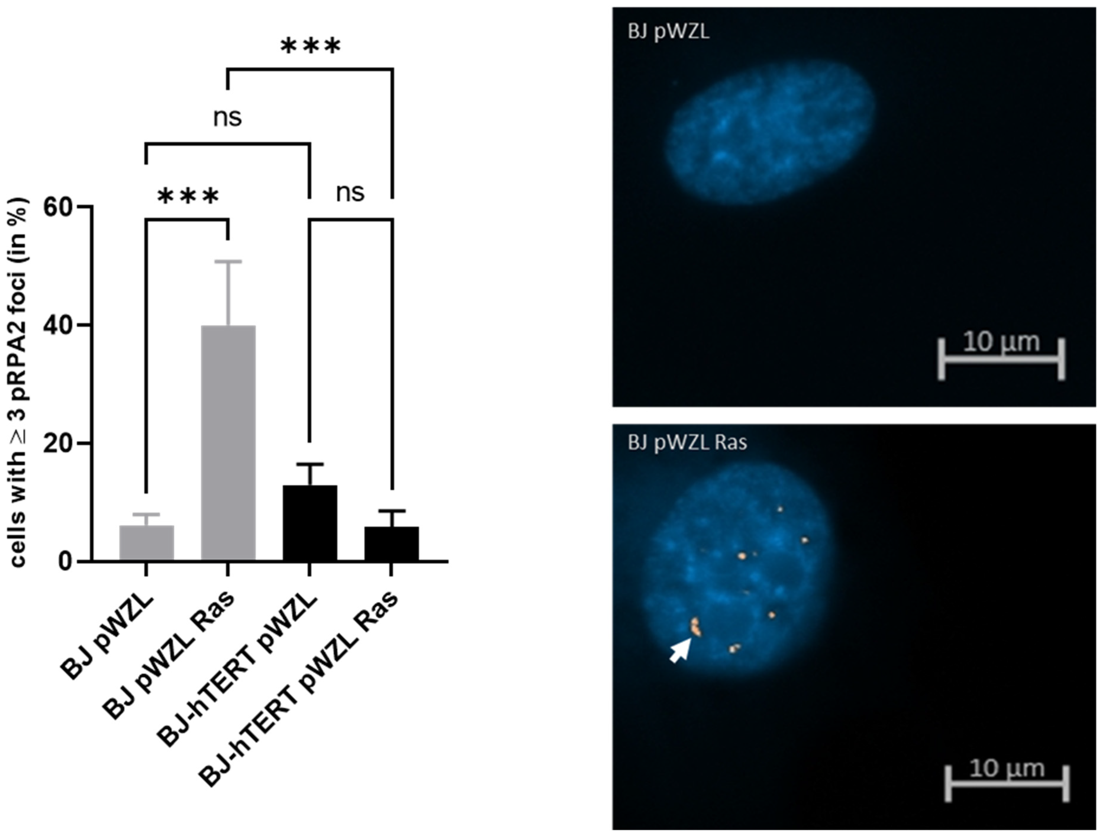 Cancers 14 02205 g001