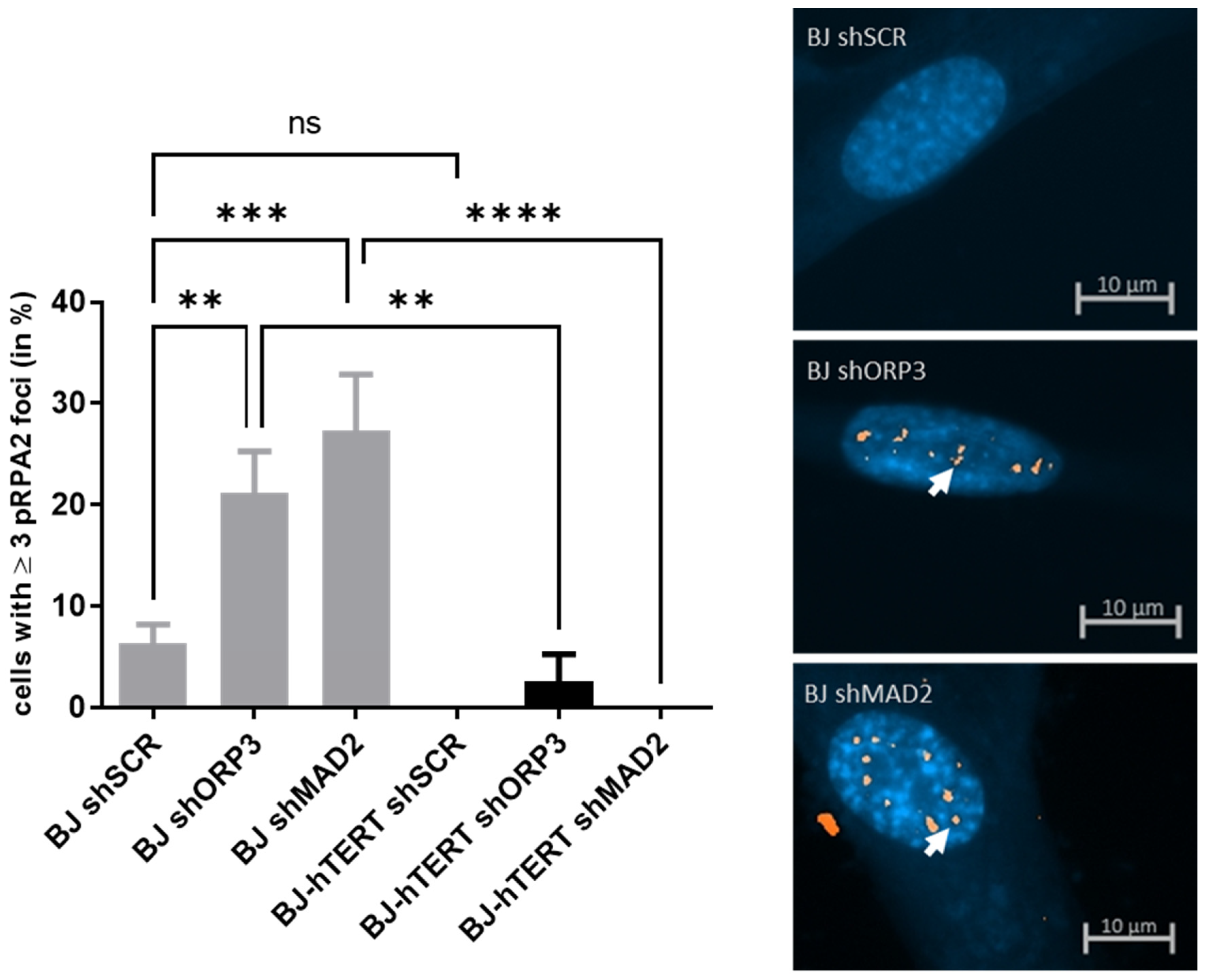 Cancers 14 02205 g002