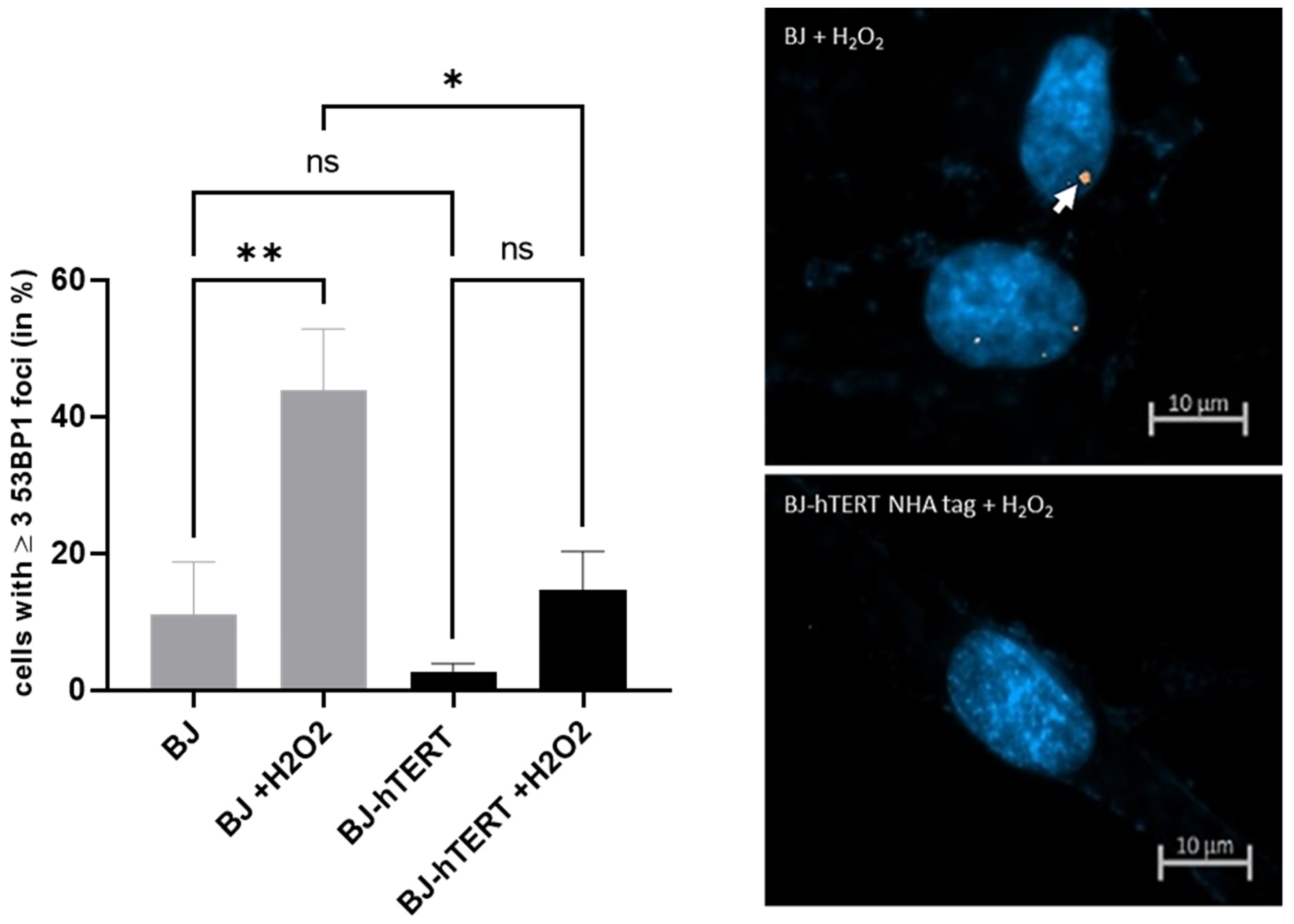 Cancers 14 02205 g009