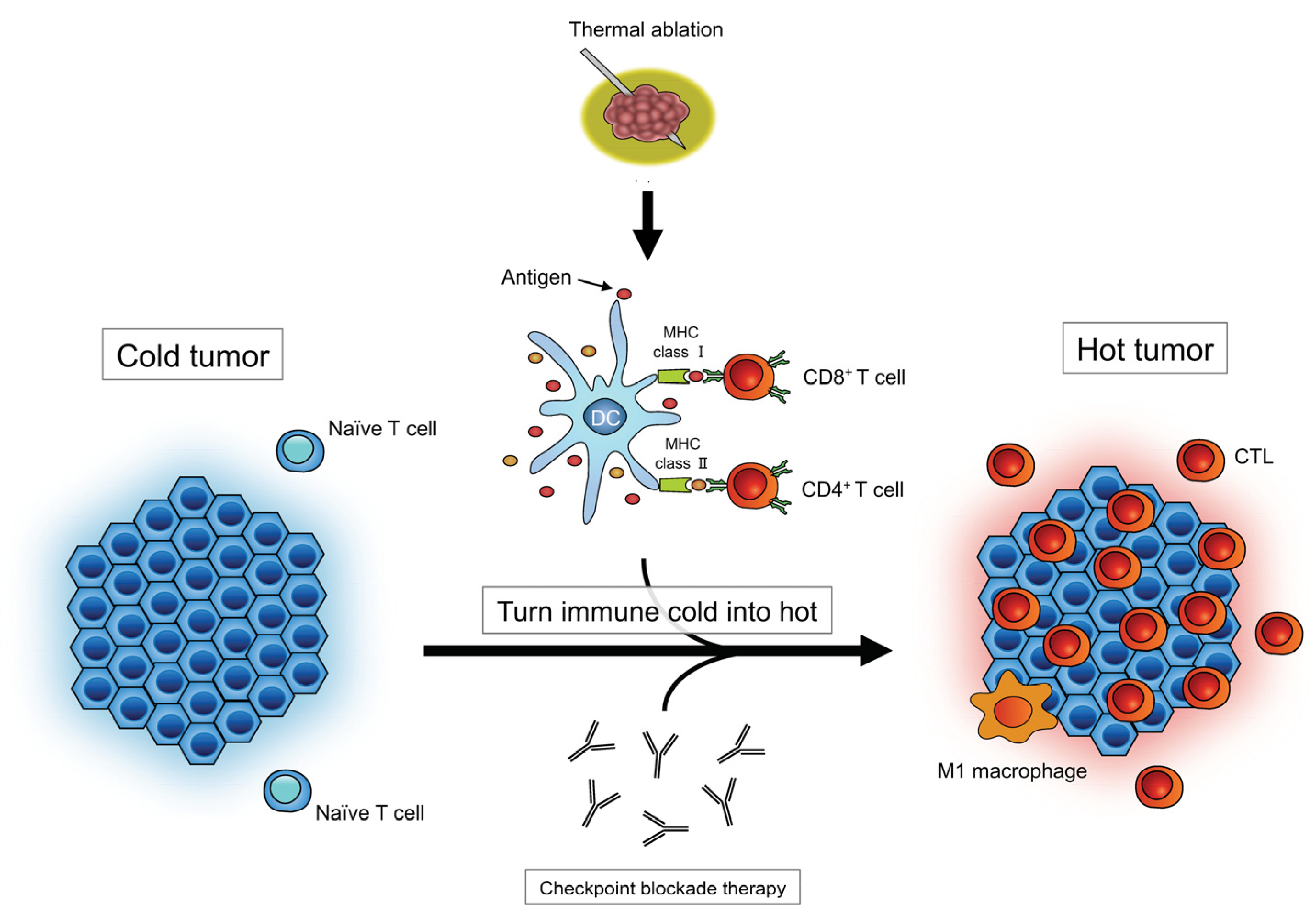 Cancers | Free Full-Text | How Compatible Are Immune Checkpoint 