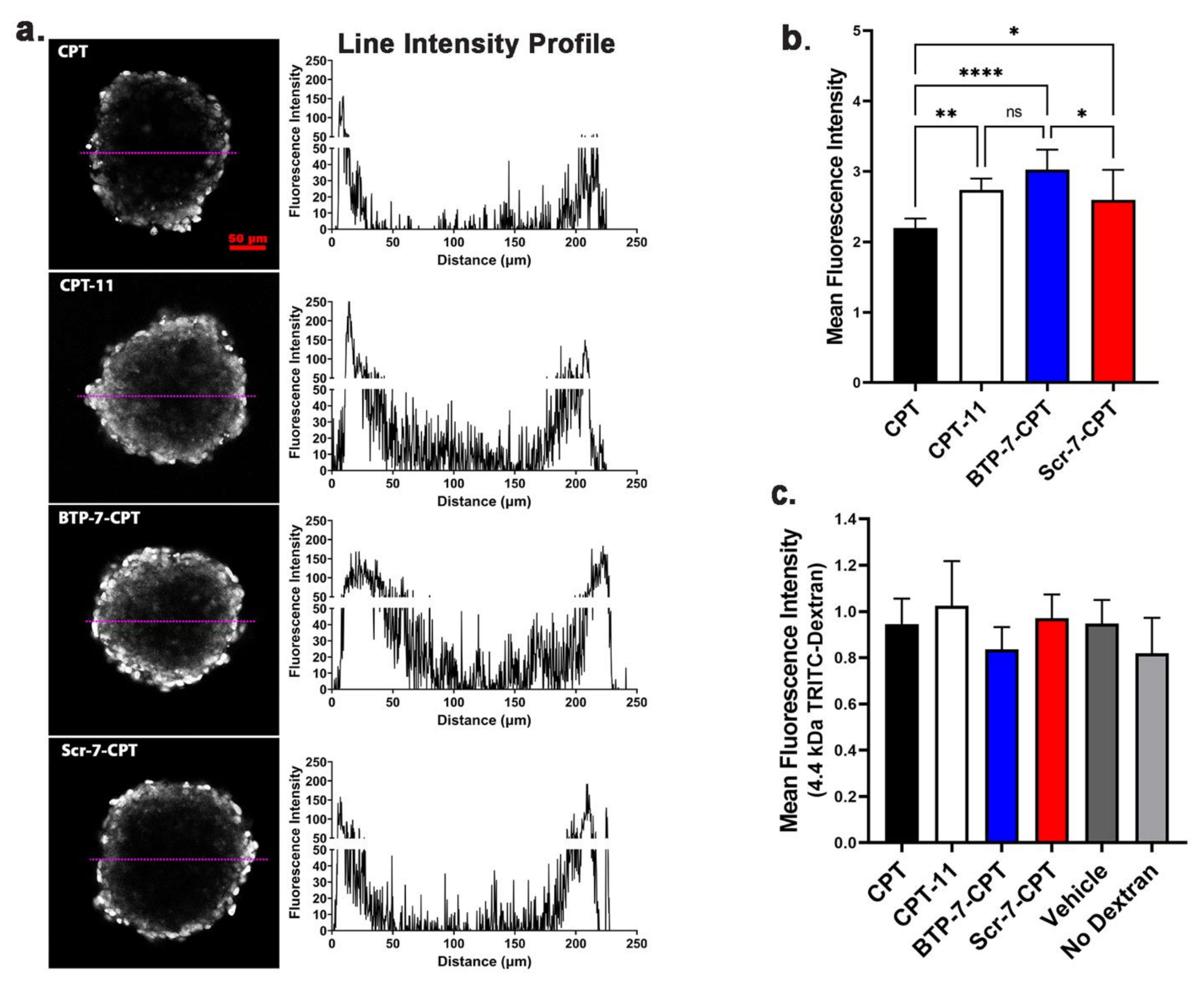 Cancers 14 02207 g004 Cancers 14 02207 g004