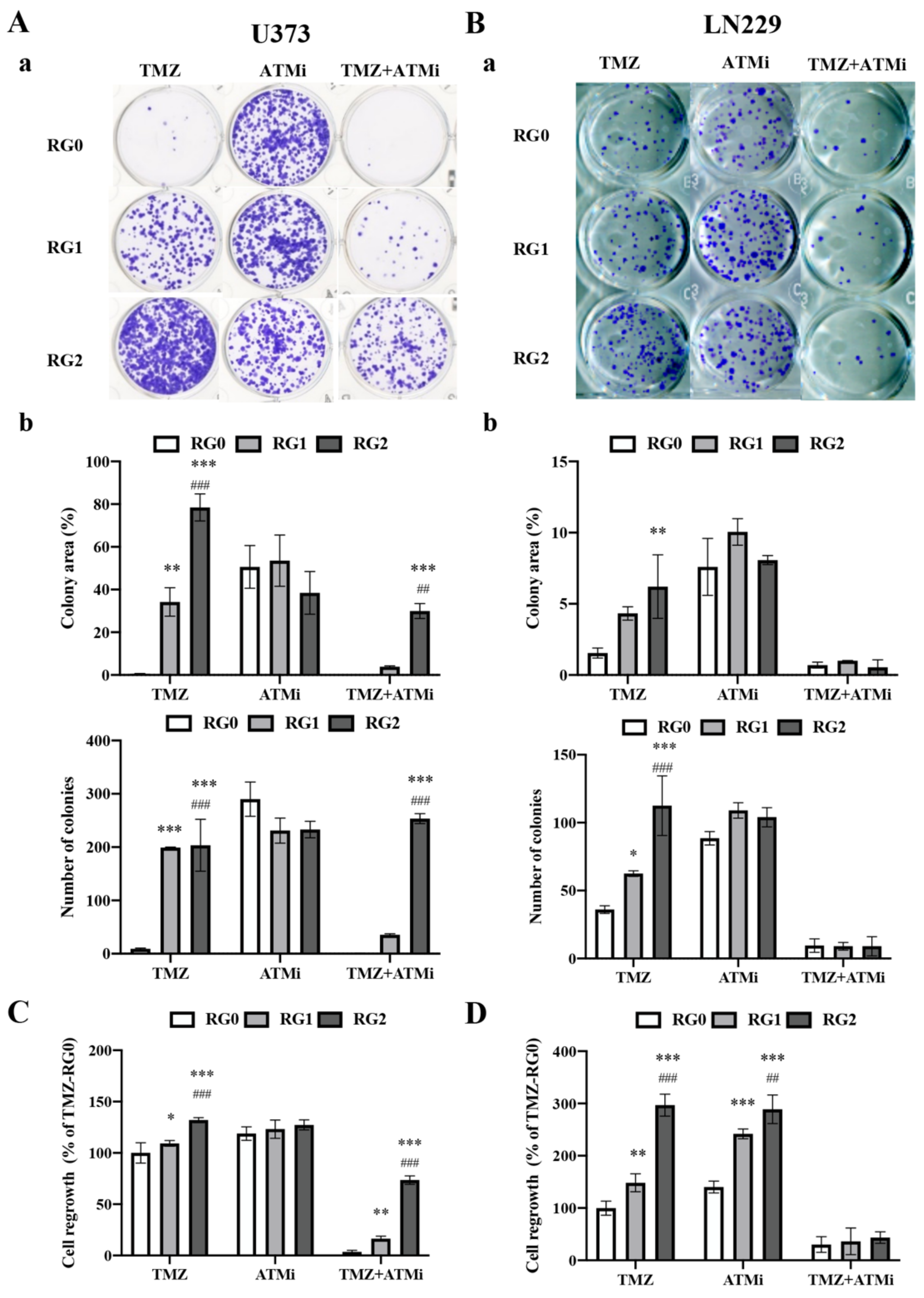 Cancers 14 02211 g003 550