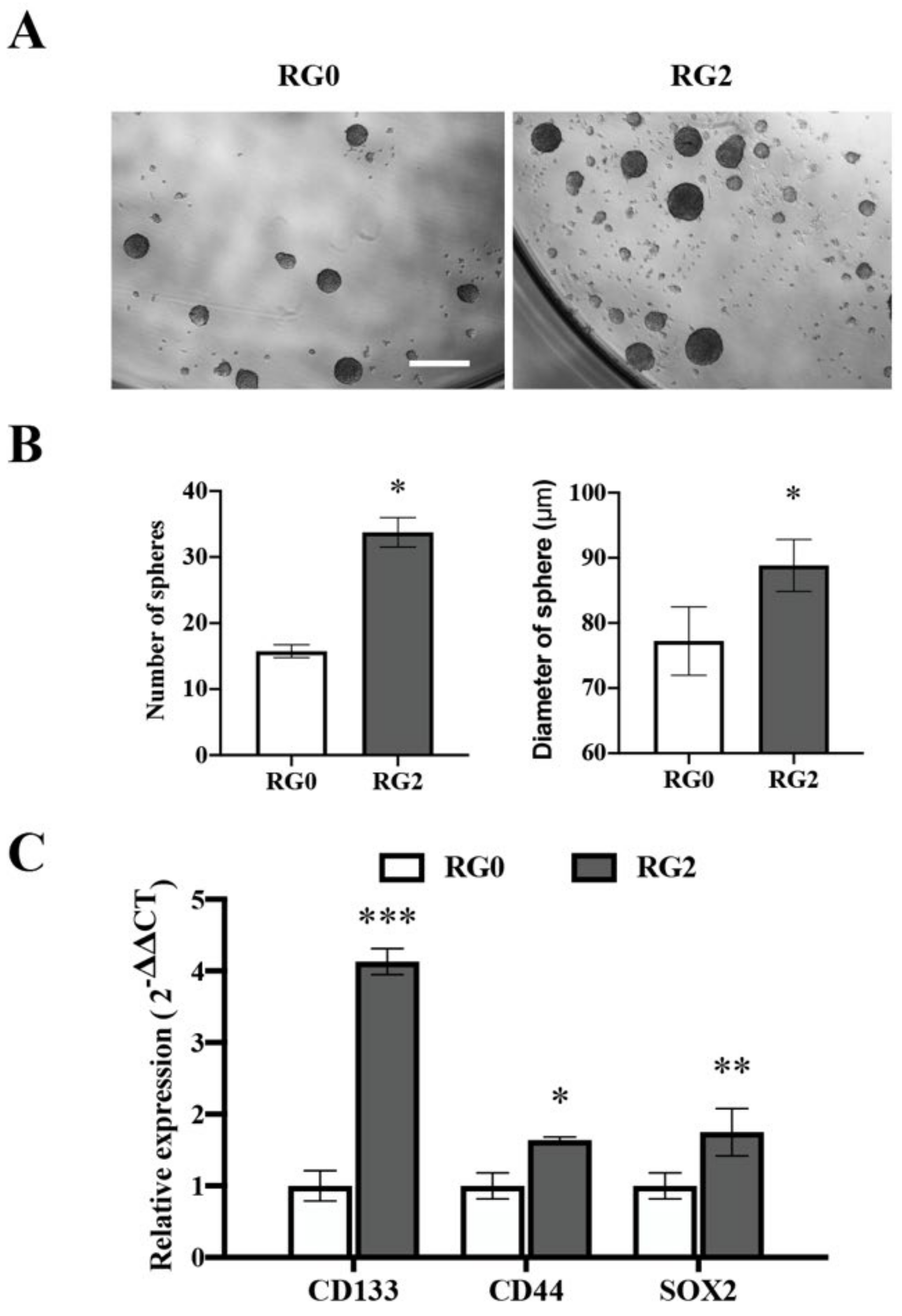Cancers 14 02211 g007 550