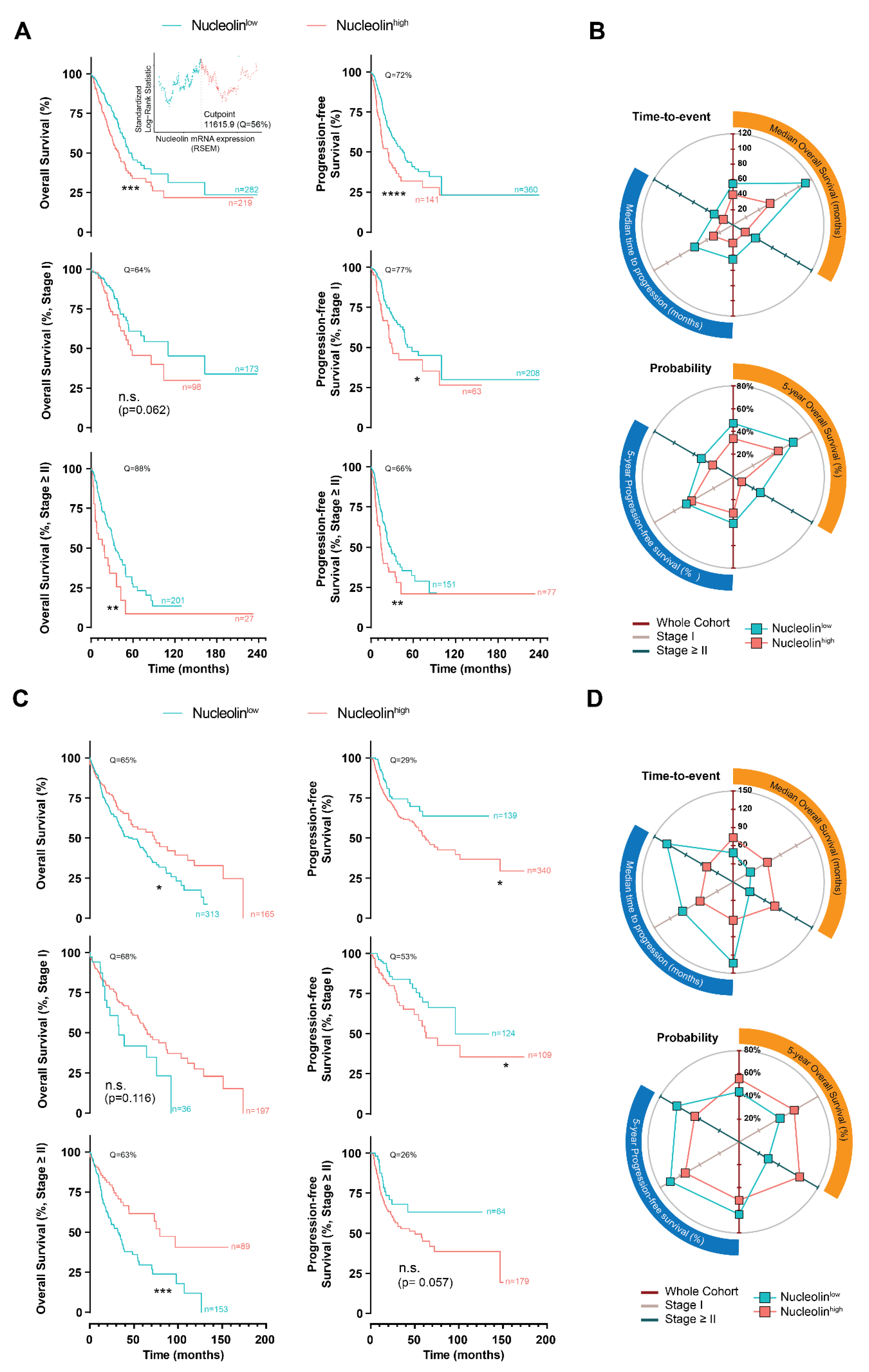 Cancers 14 02217 g001 550