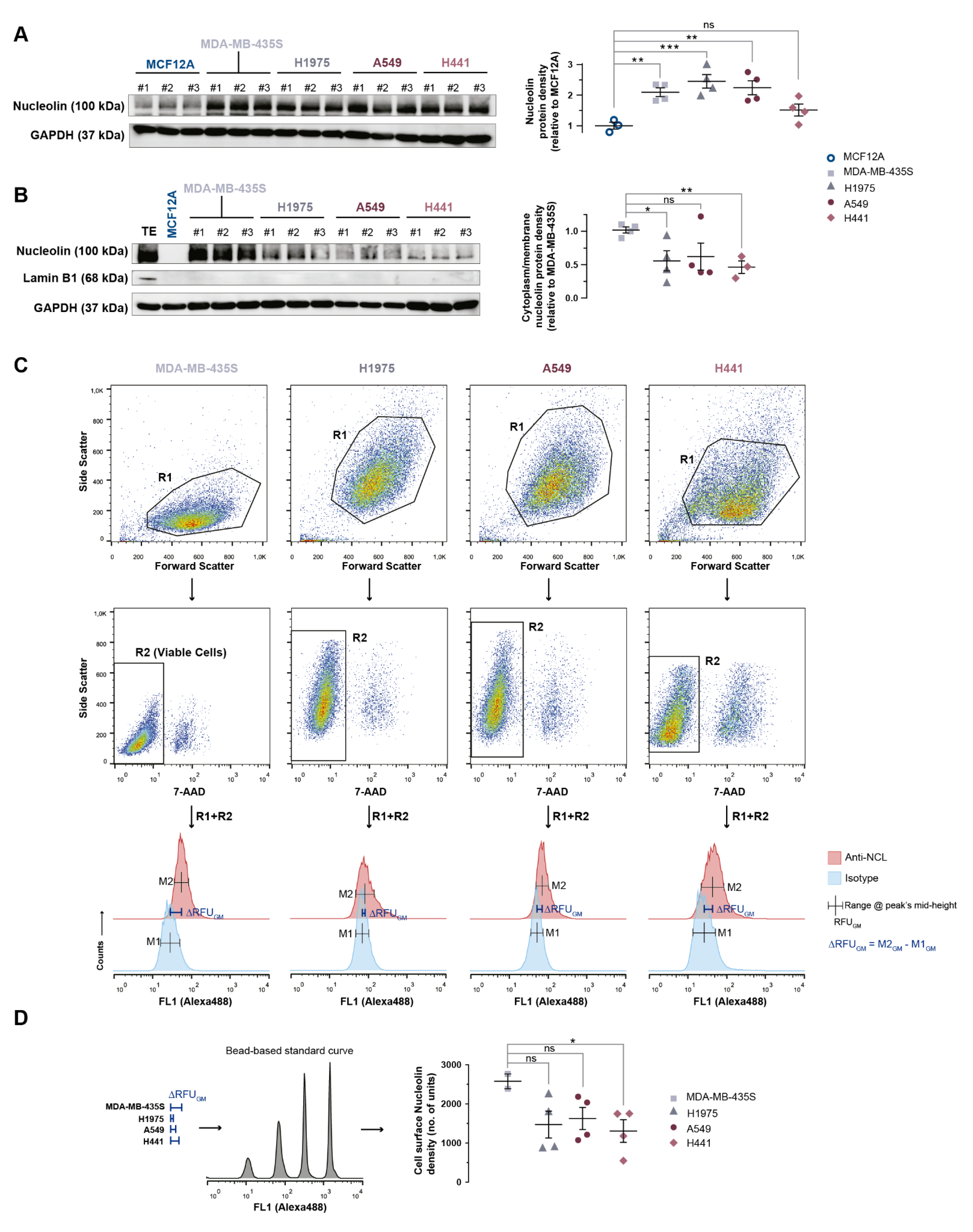 Cancers 14 02217 g004 550