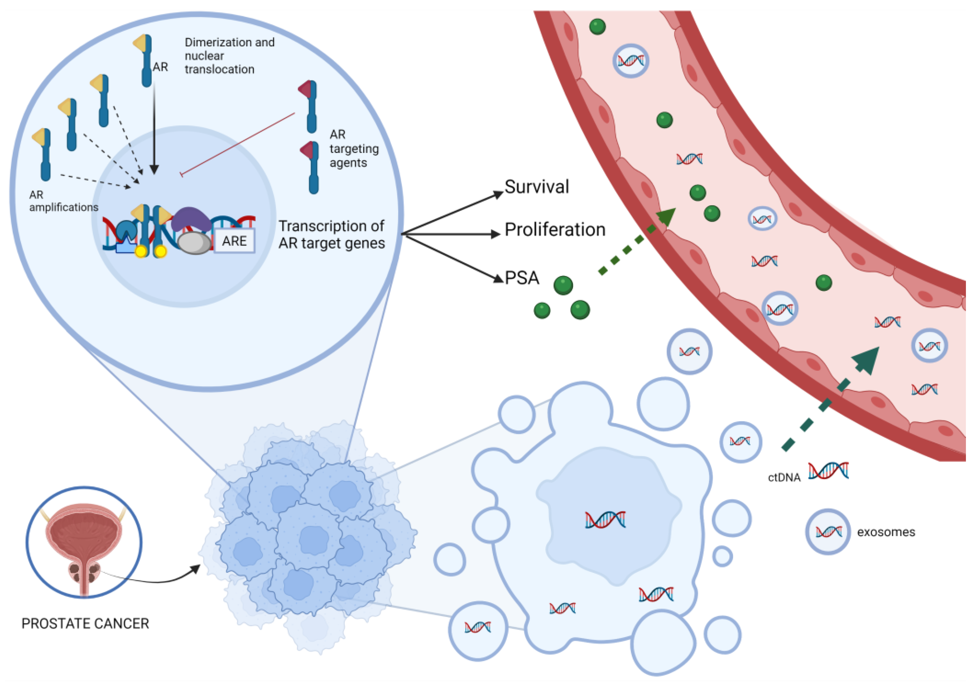 Cancers 14 02219 g001 550