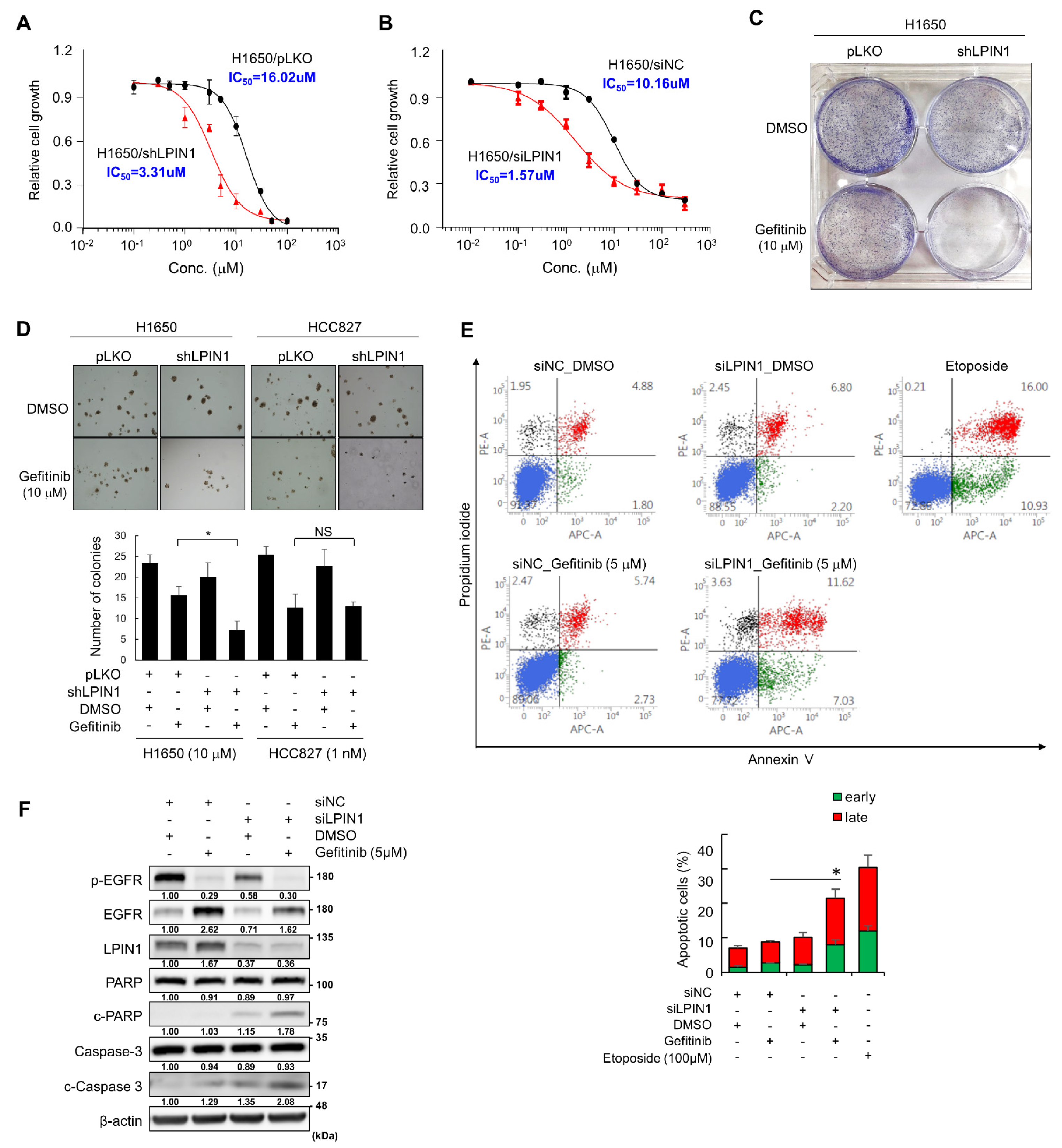 Cancers 14 02222 g001 550