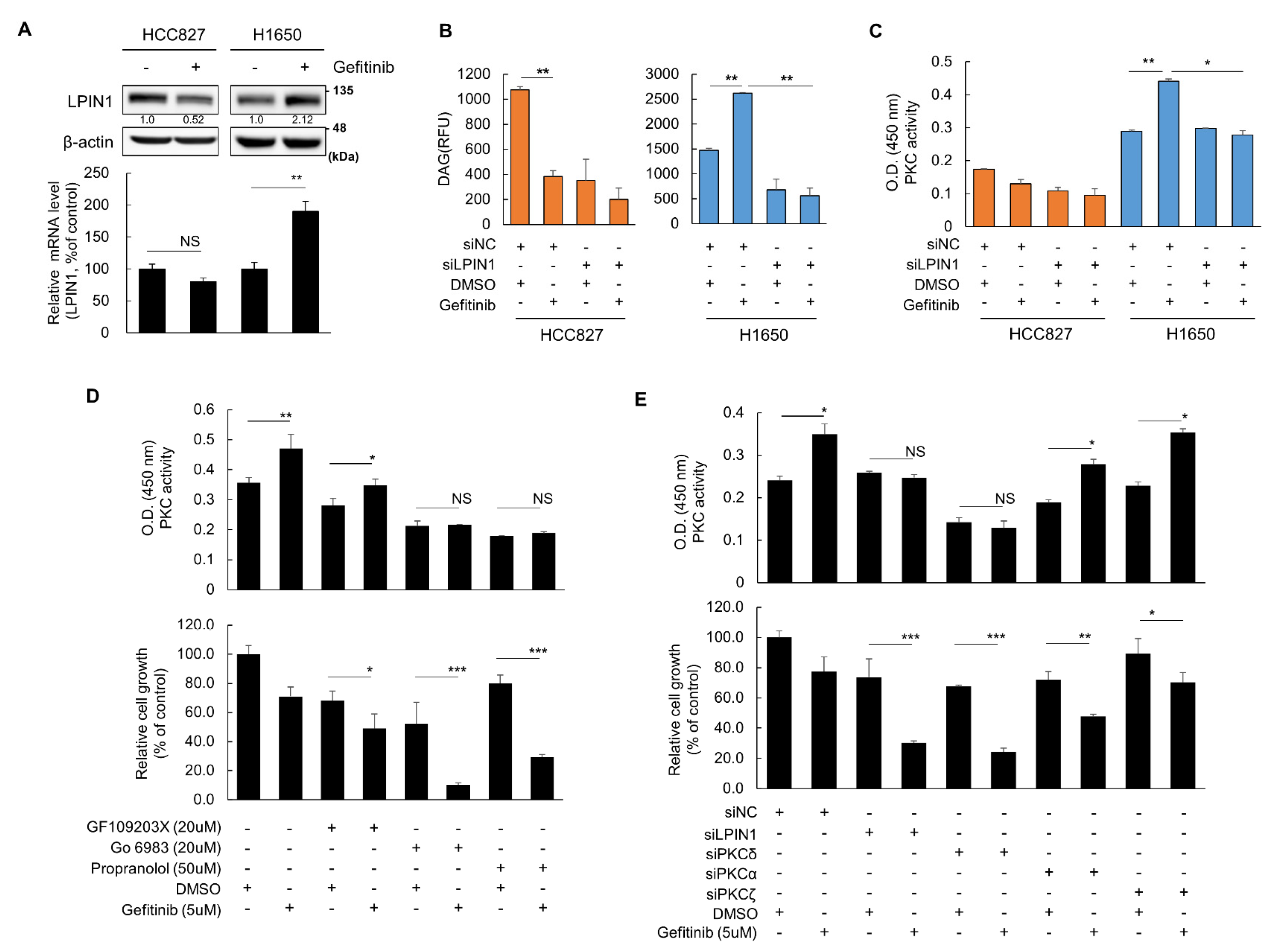Cancers 14 02222 g002 550