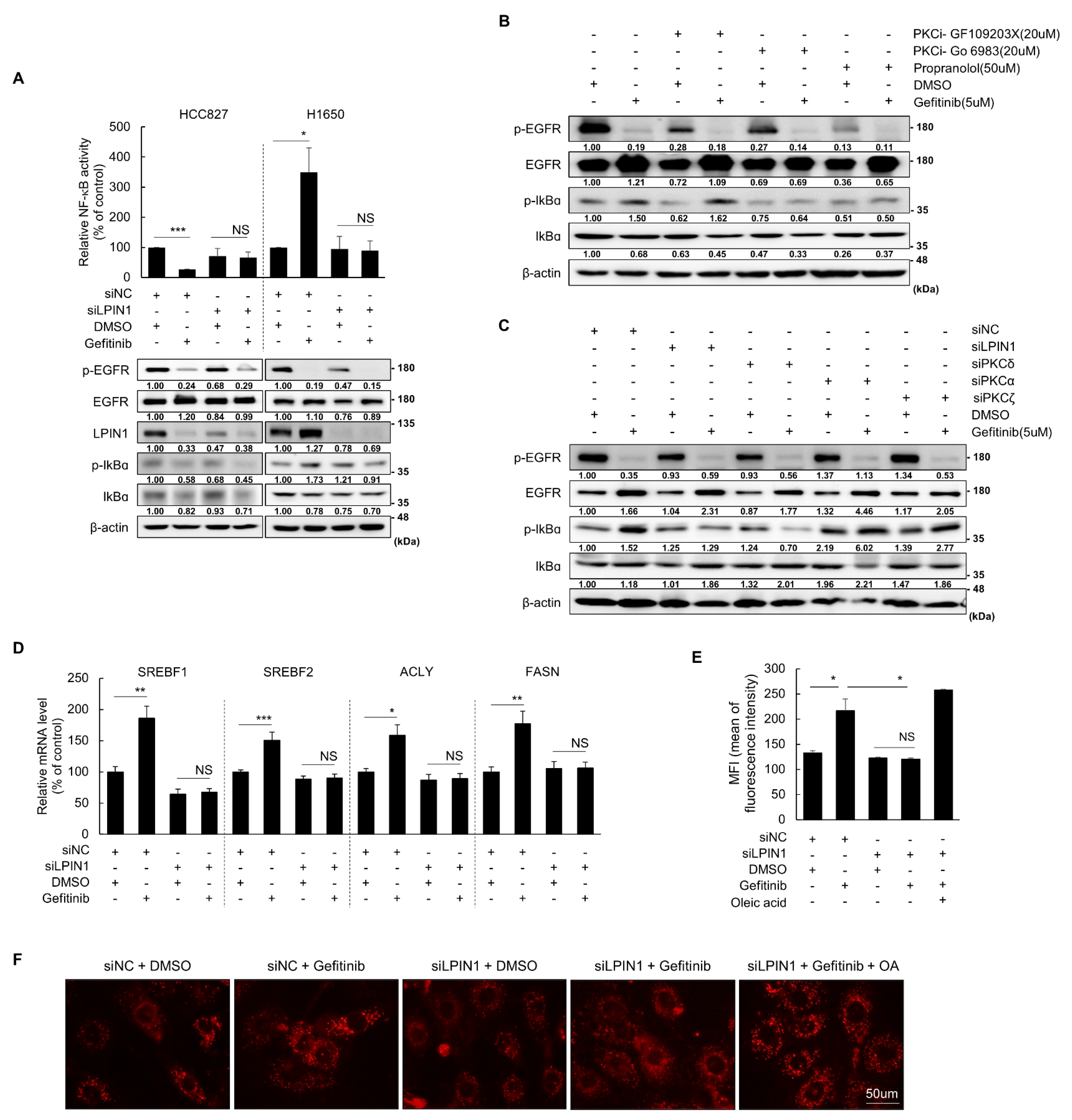 Cancers 14 02222 g003 550