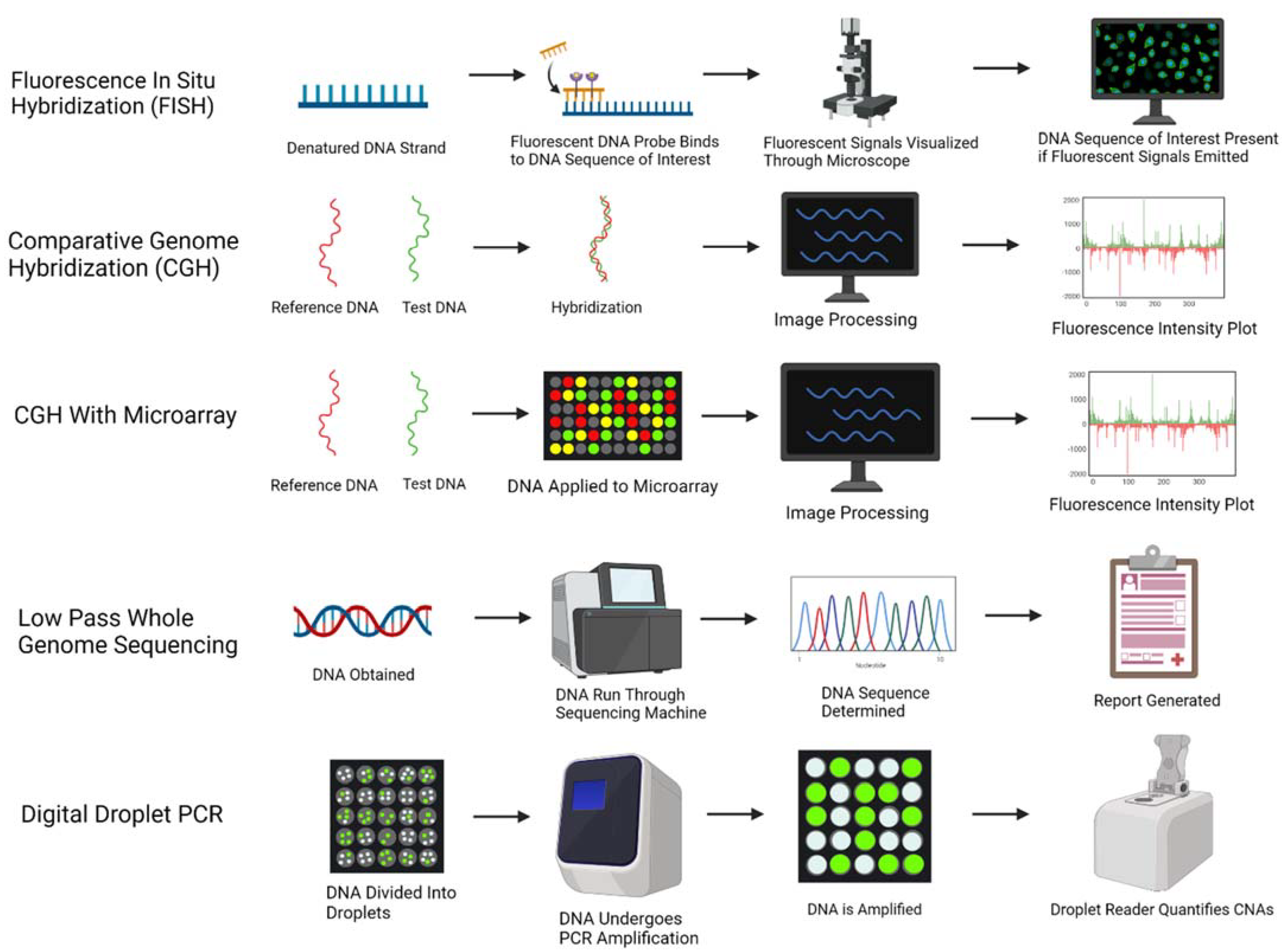 Cancers 14 02223 g001