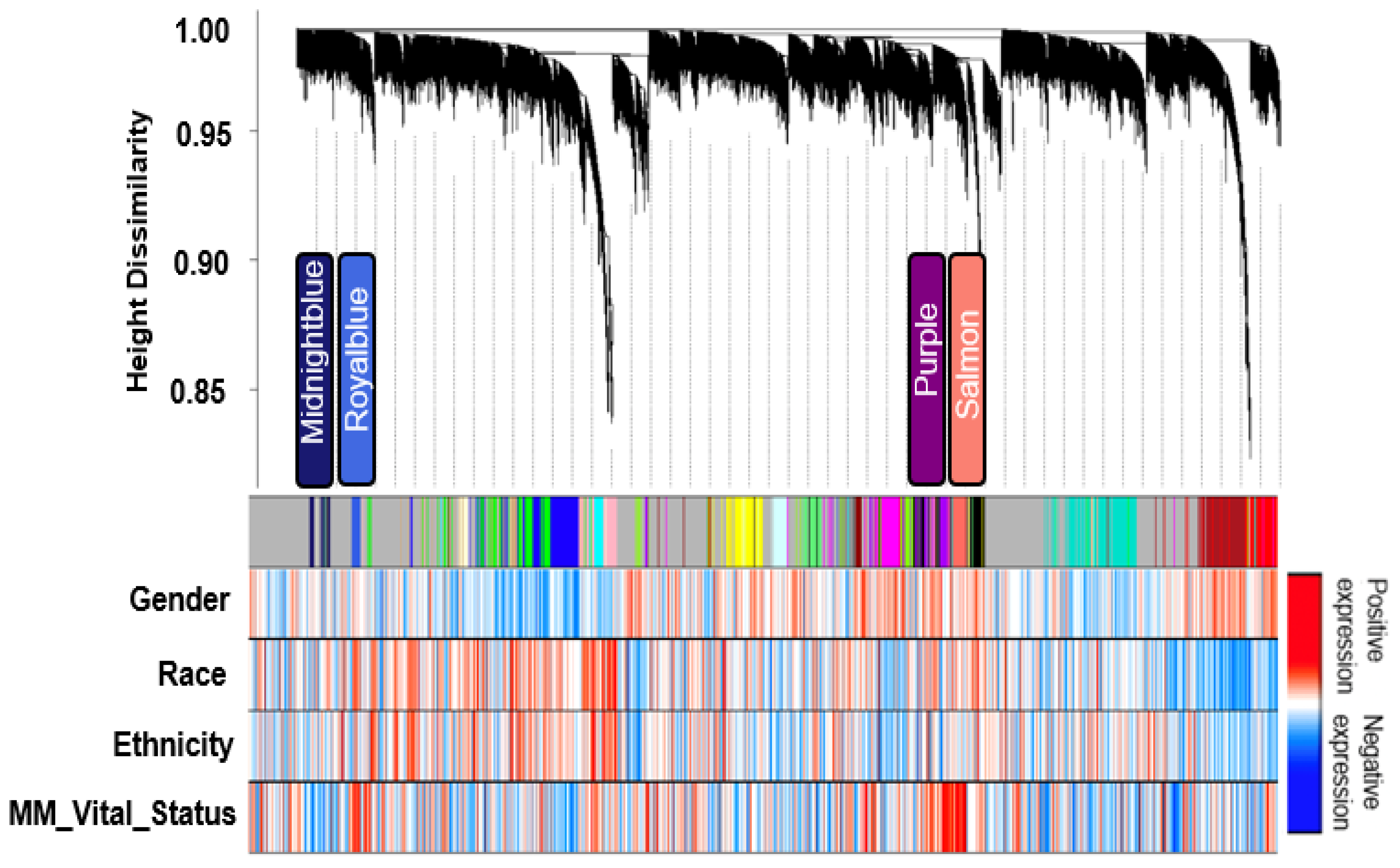 Cancers 14 02228 g002 550