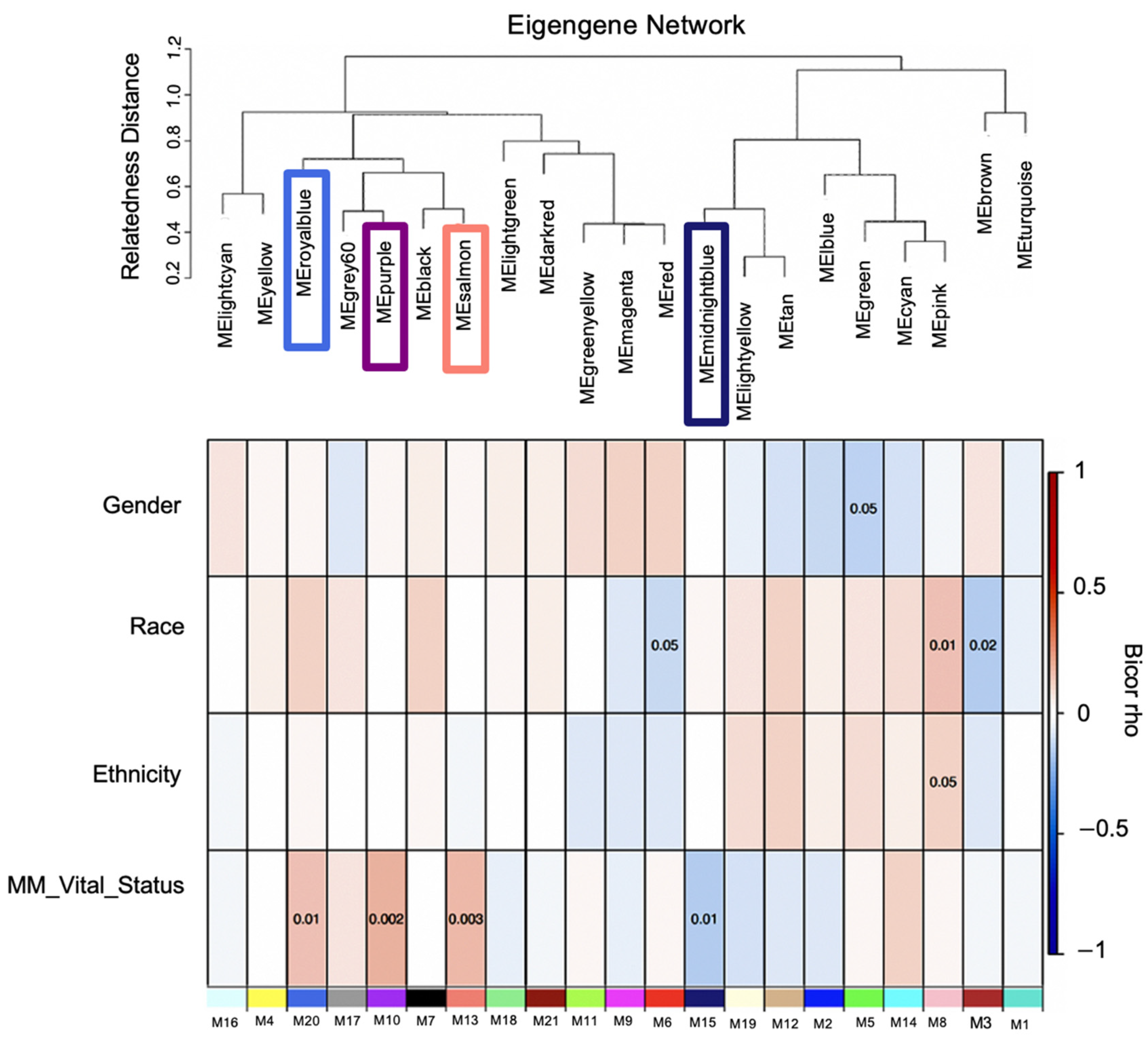 Cancers 14 02228 g003 550