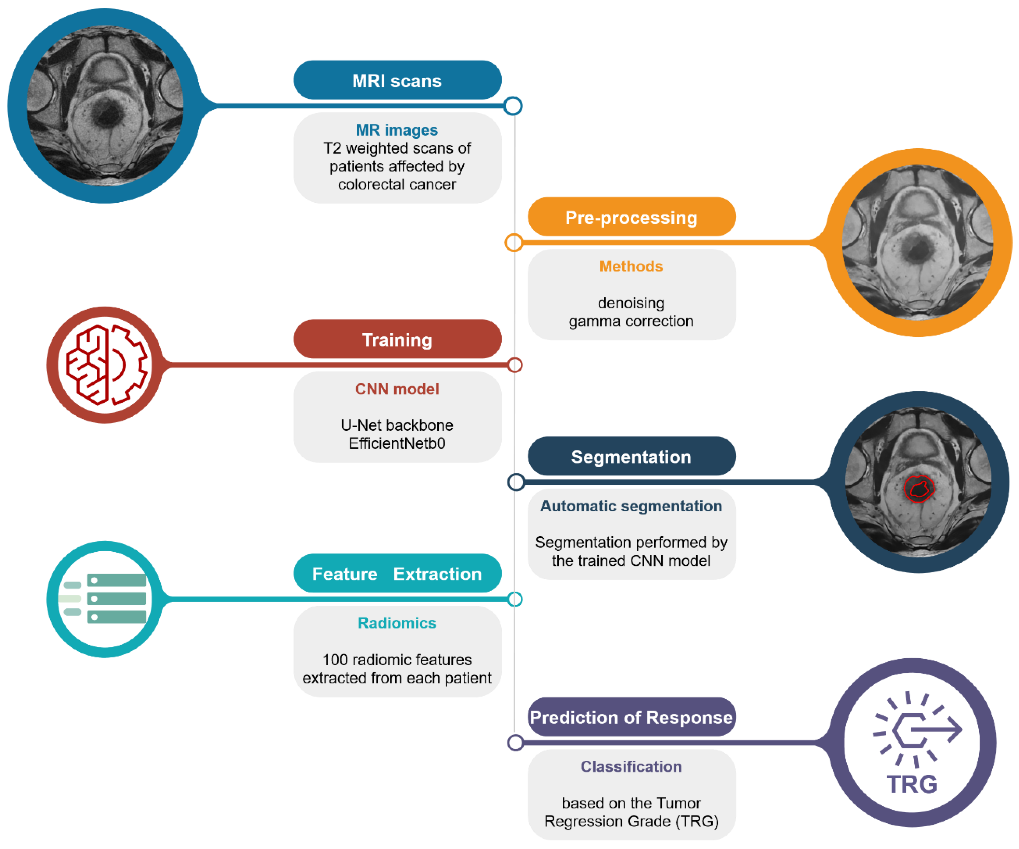 Cancers 14 02231 g001 550