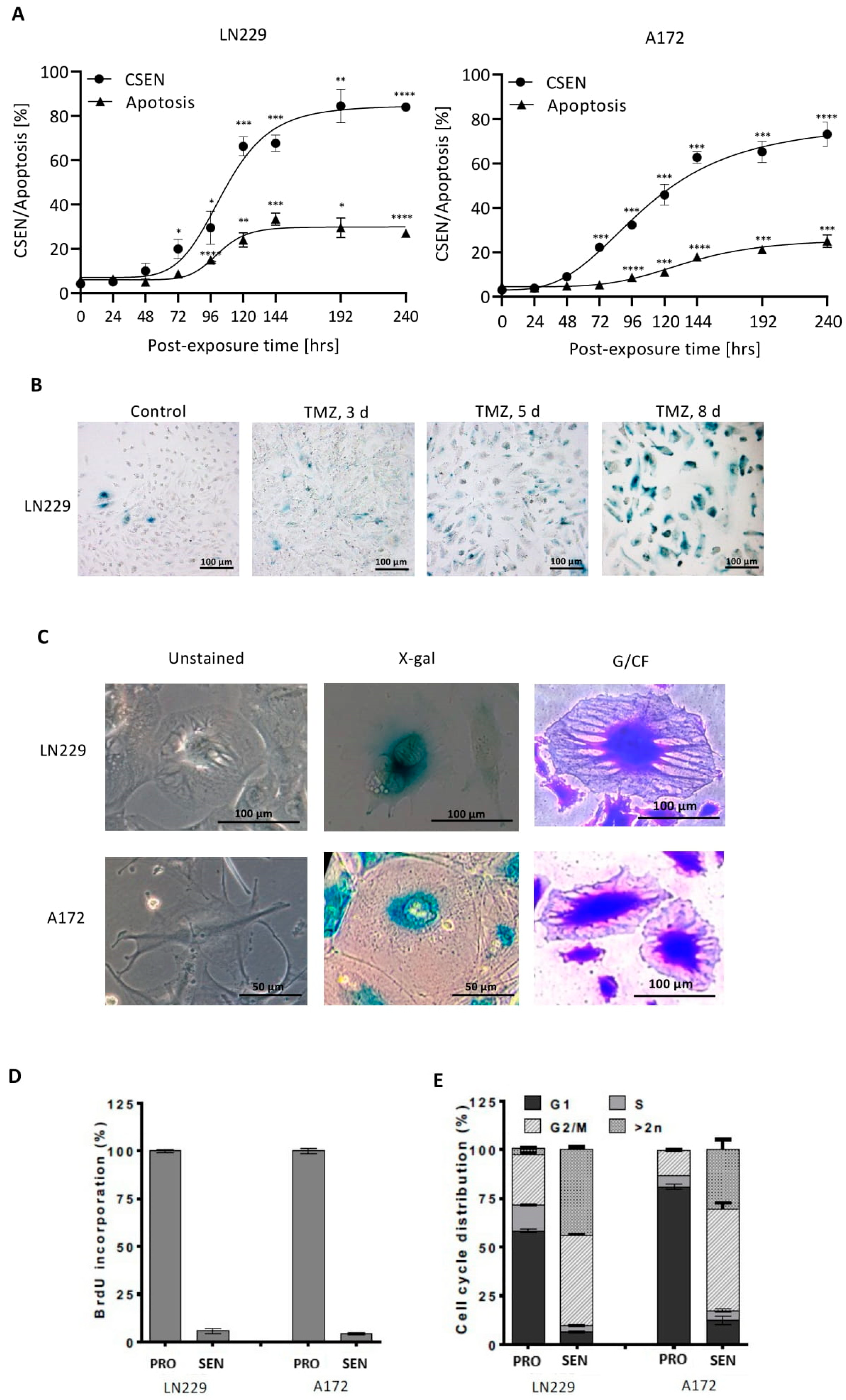Cancers 14 02233 g001 550