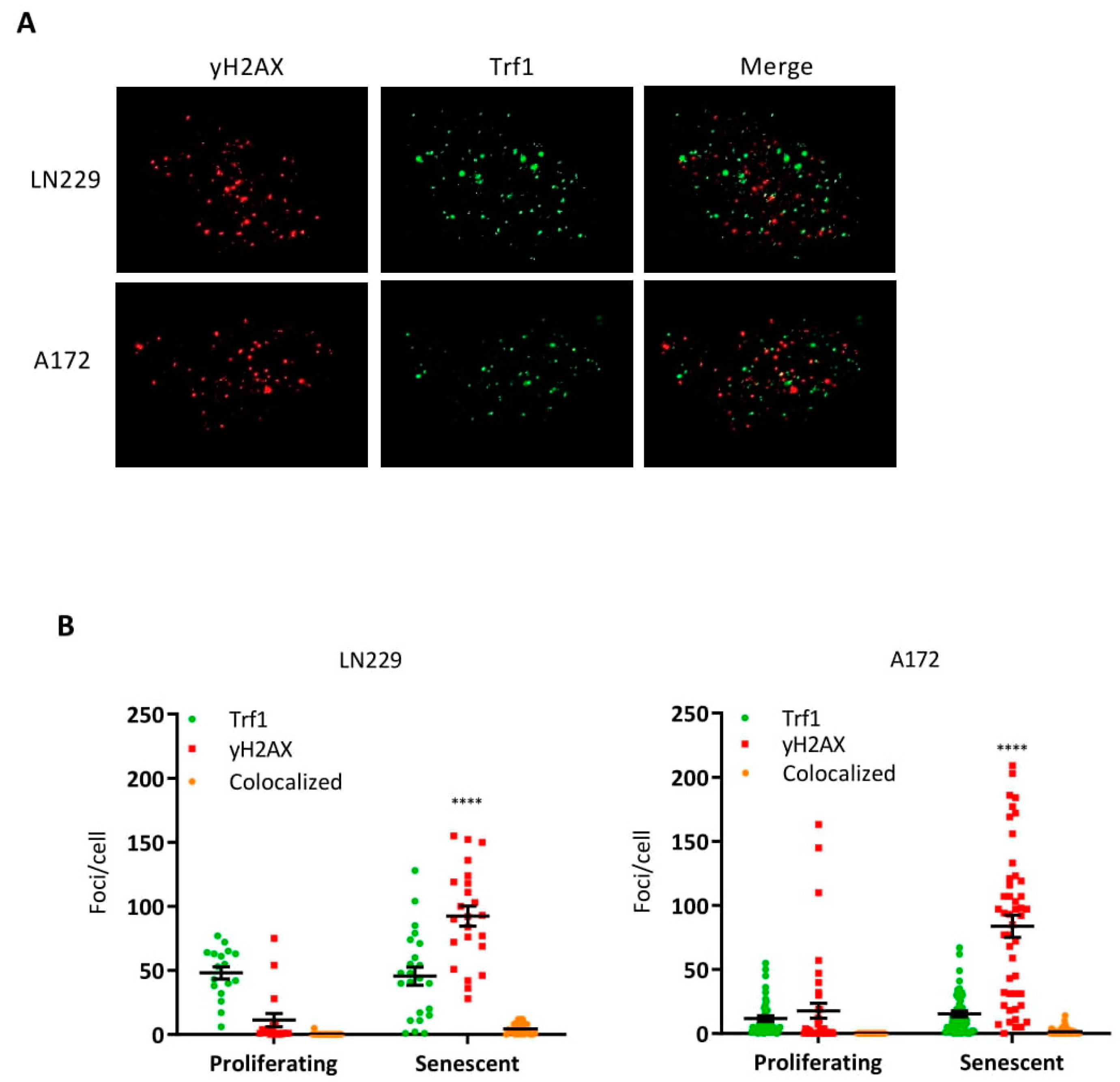 Cancers 14 02233 g003 550