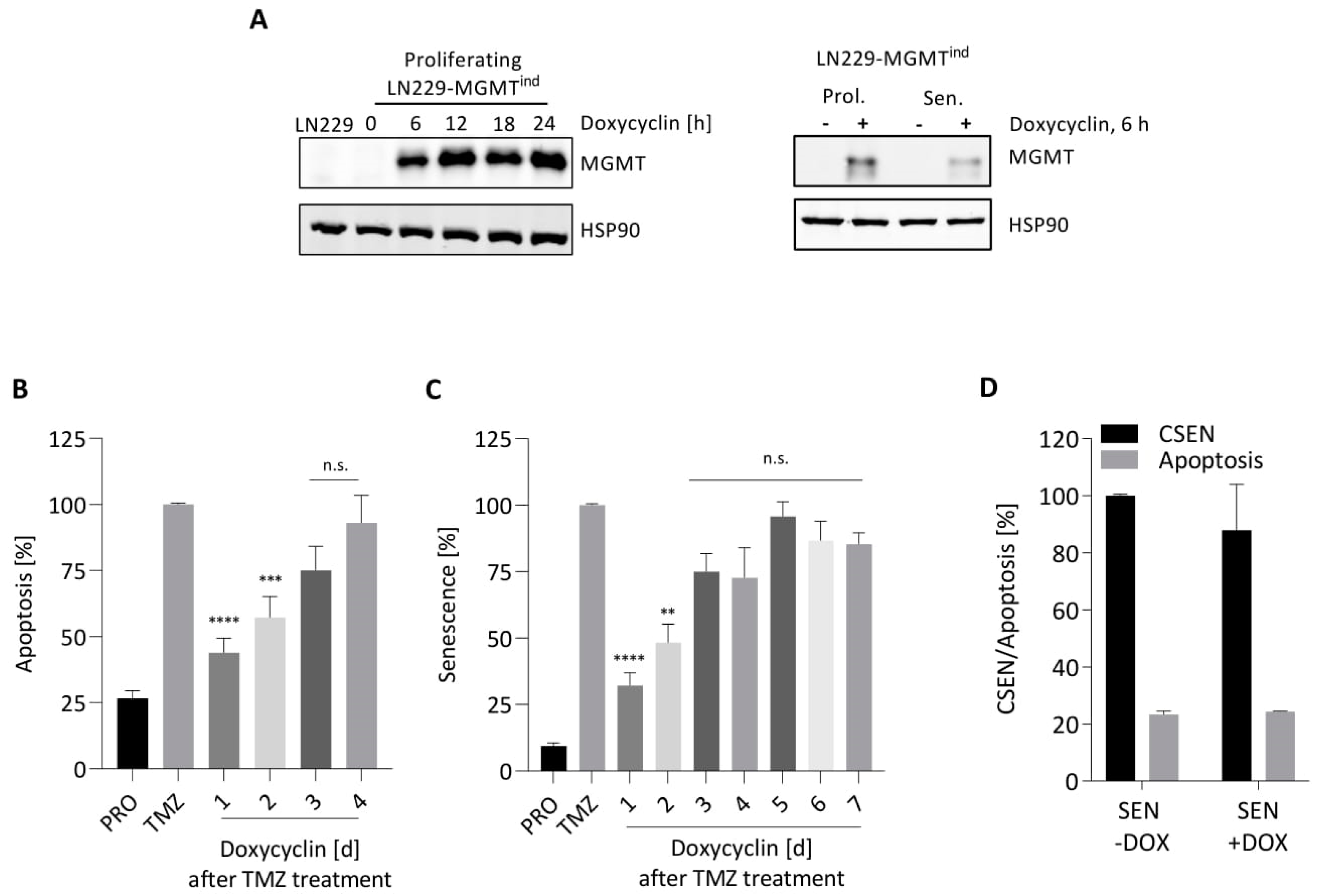 Cancers 14 02233 g005 550