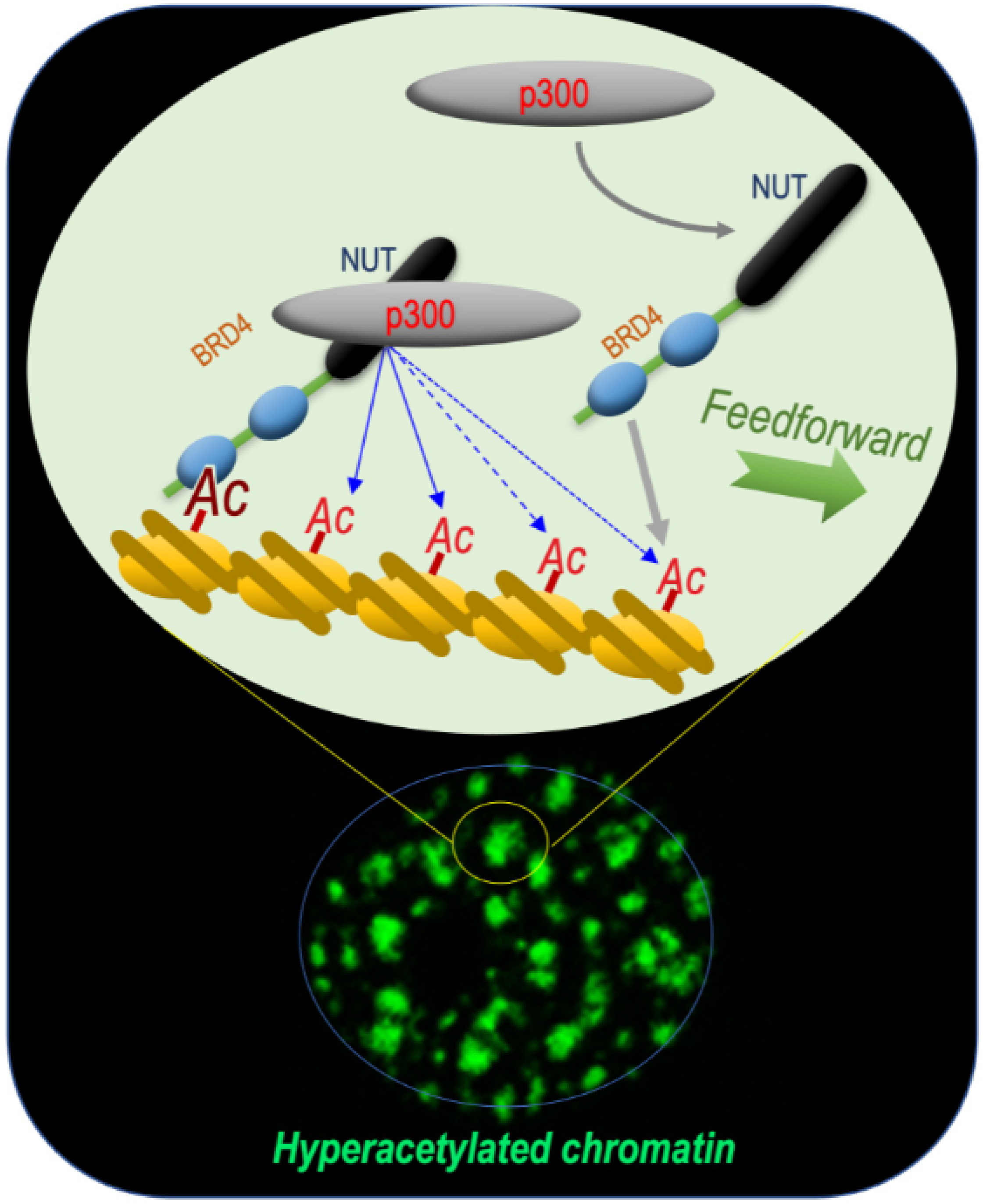 Cancers 14 02234 g001 550