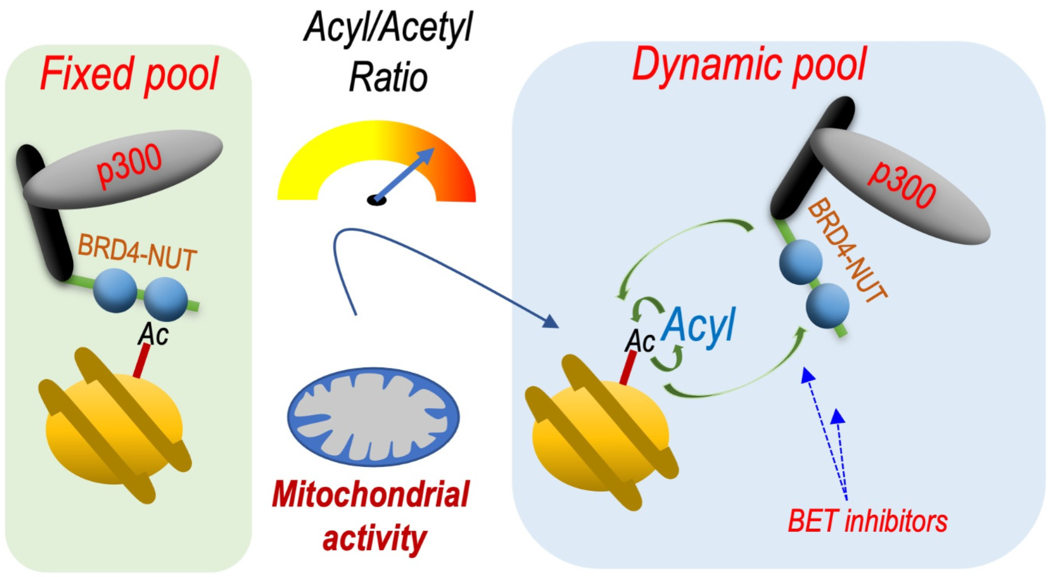 Cancers 14 02234 g003 550