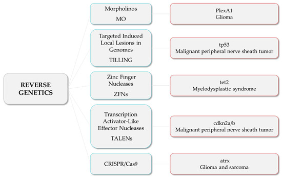 Cancers 14 02238 g002 550