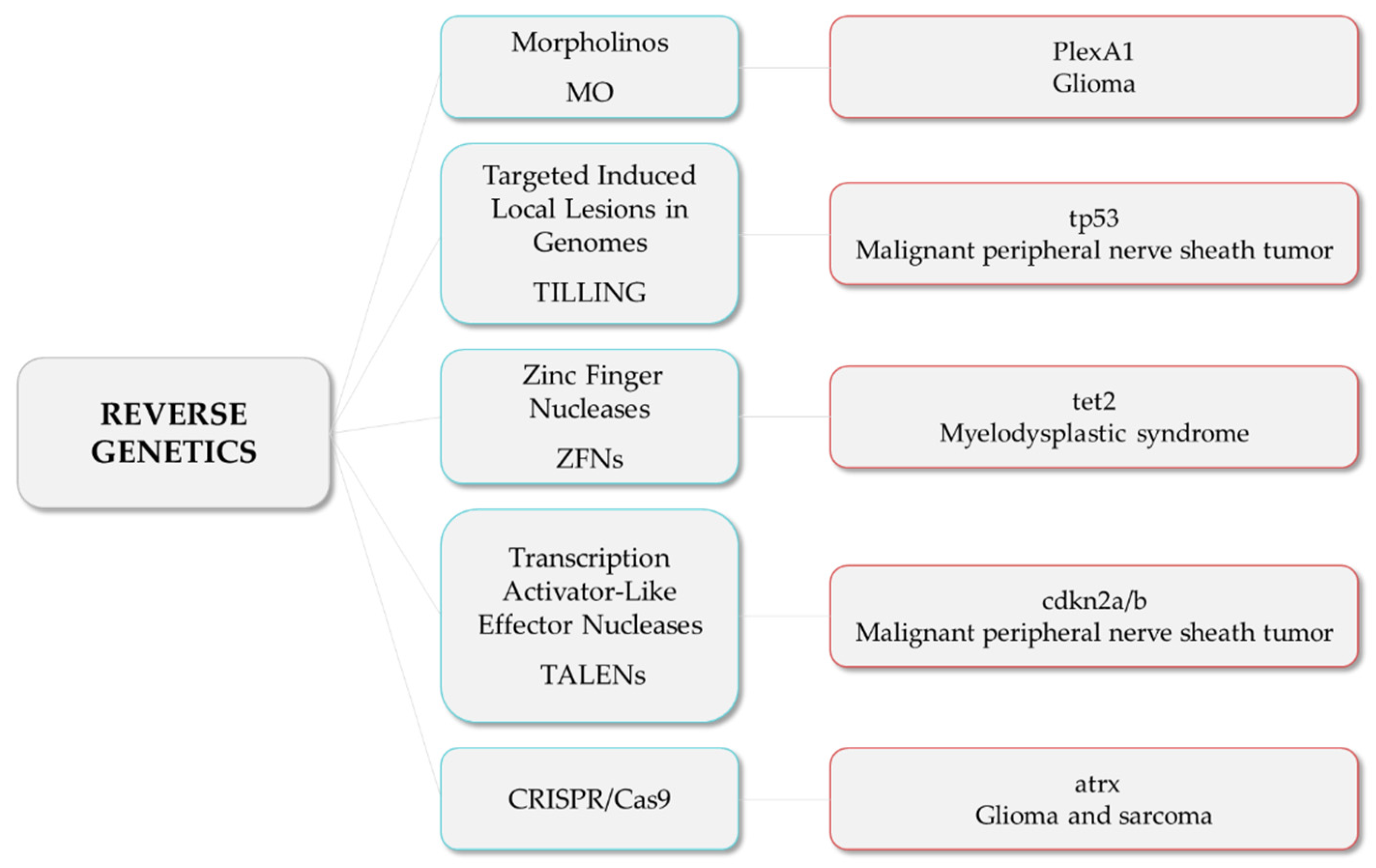 Cancers 14 02238 g002