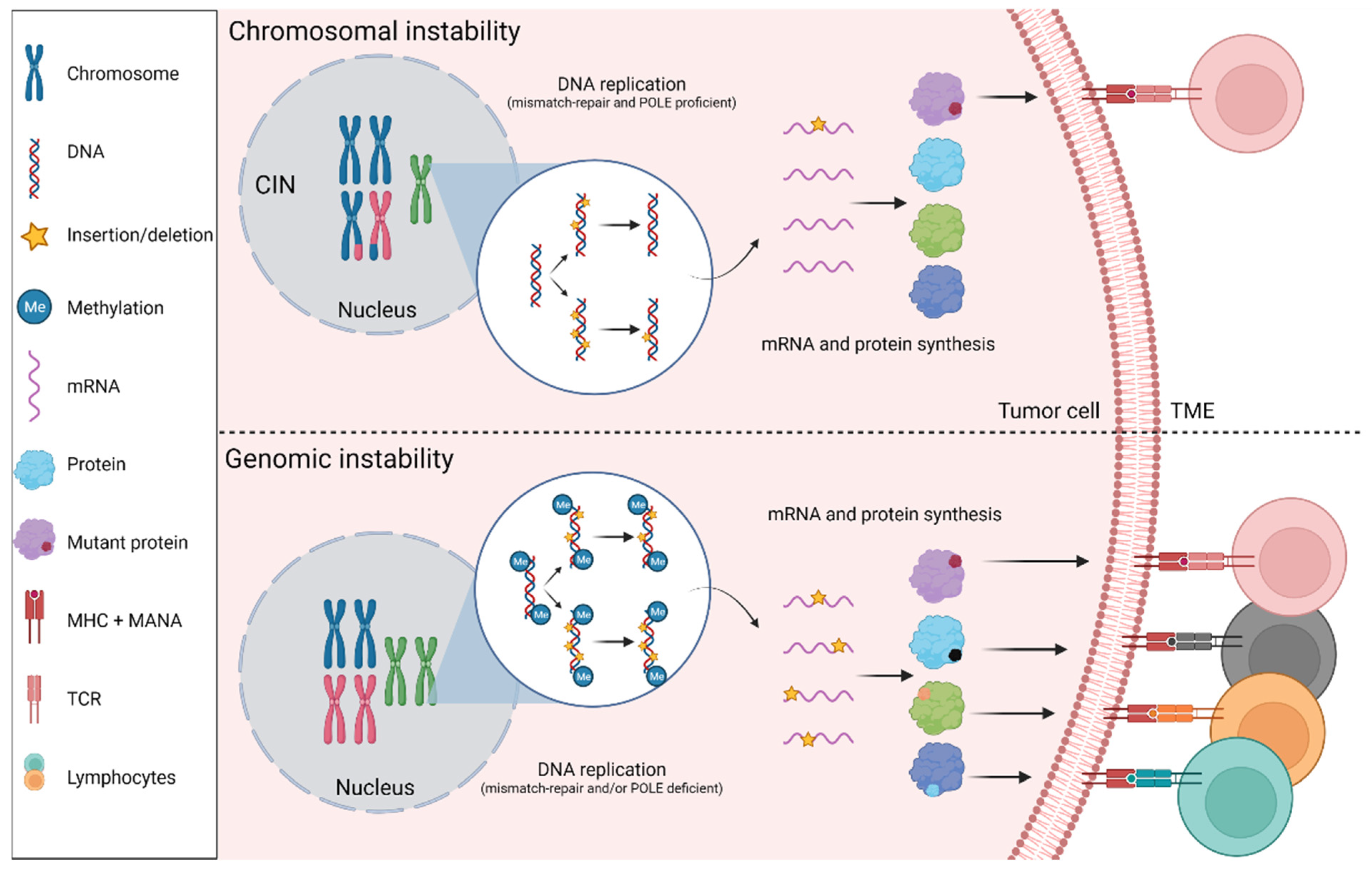 Cancers | Free Full-Text | Biomarkers of Response and Resistance 