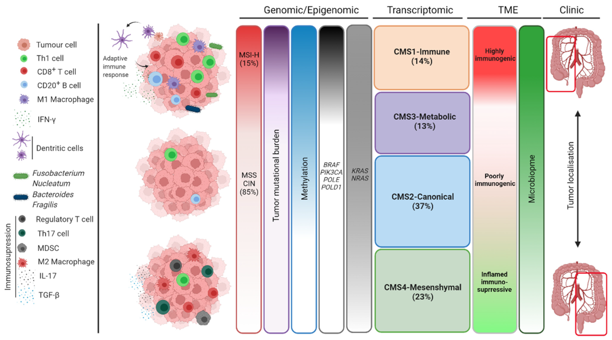 Biomarkers of Response and Resistance to Immunotherapy in