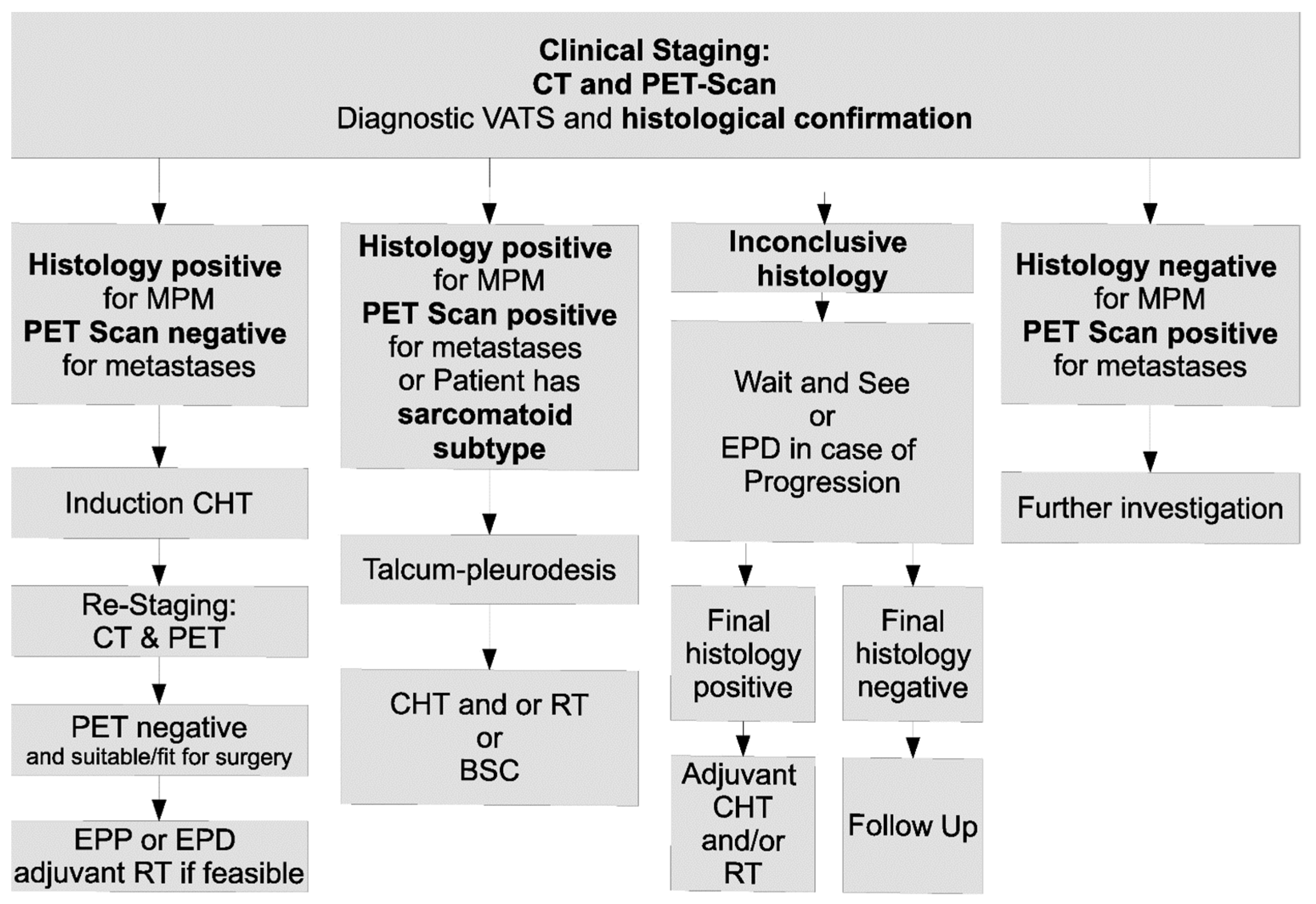 Cancers 14 02245 g001