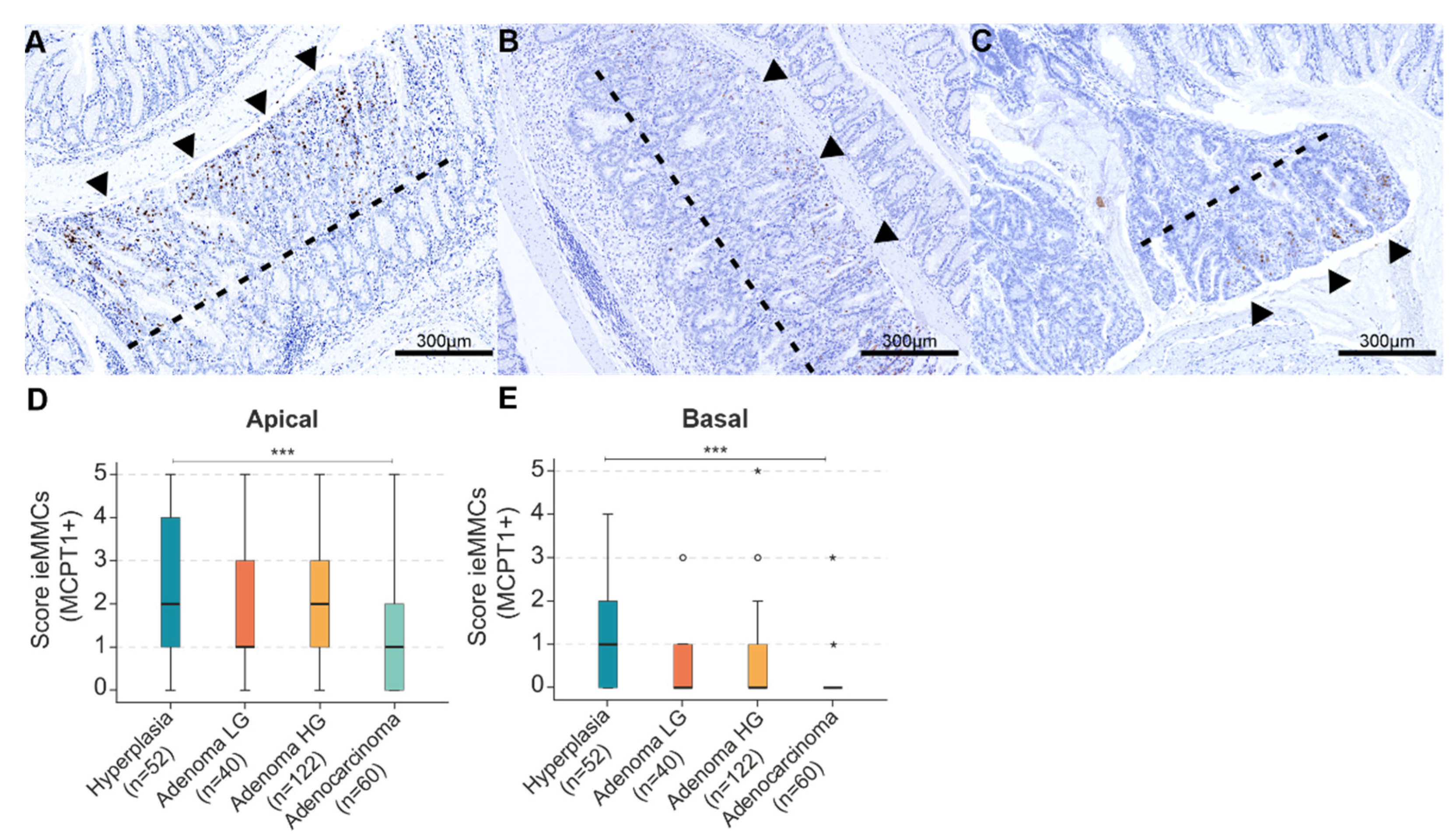 Cancers 14 02248 g003