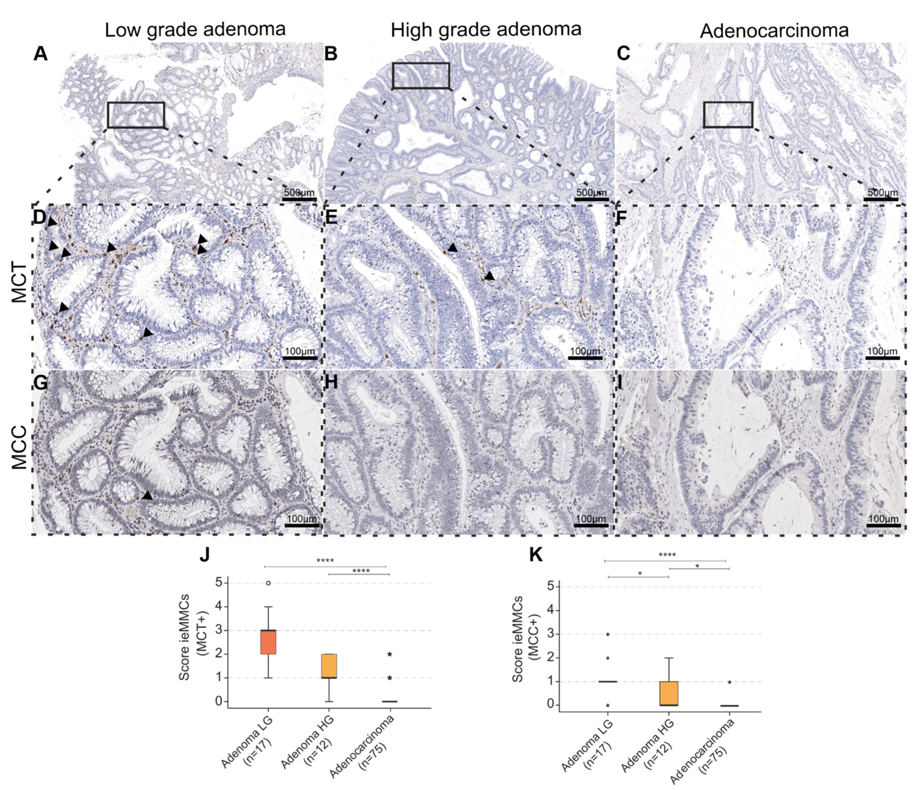 Cancers 14 02248 g004