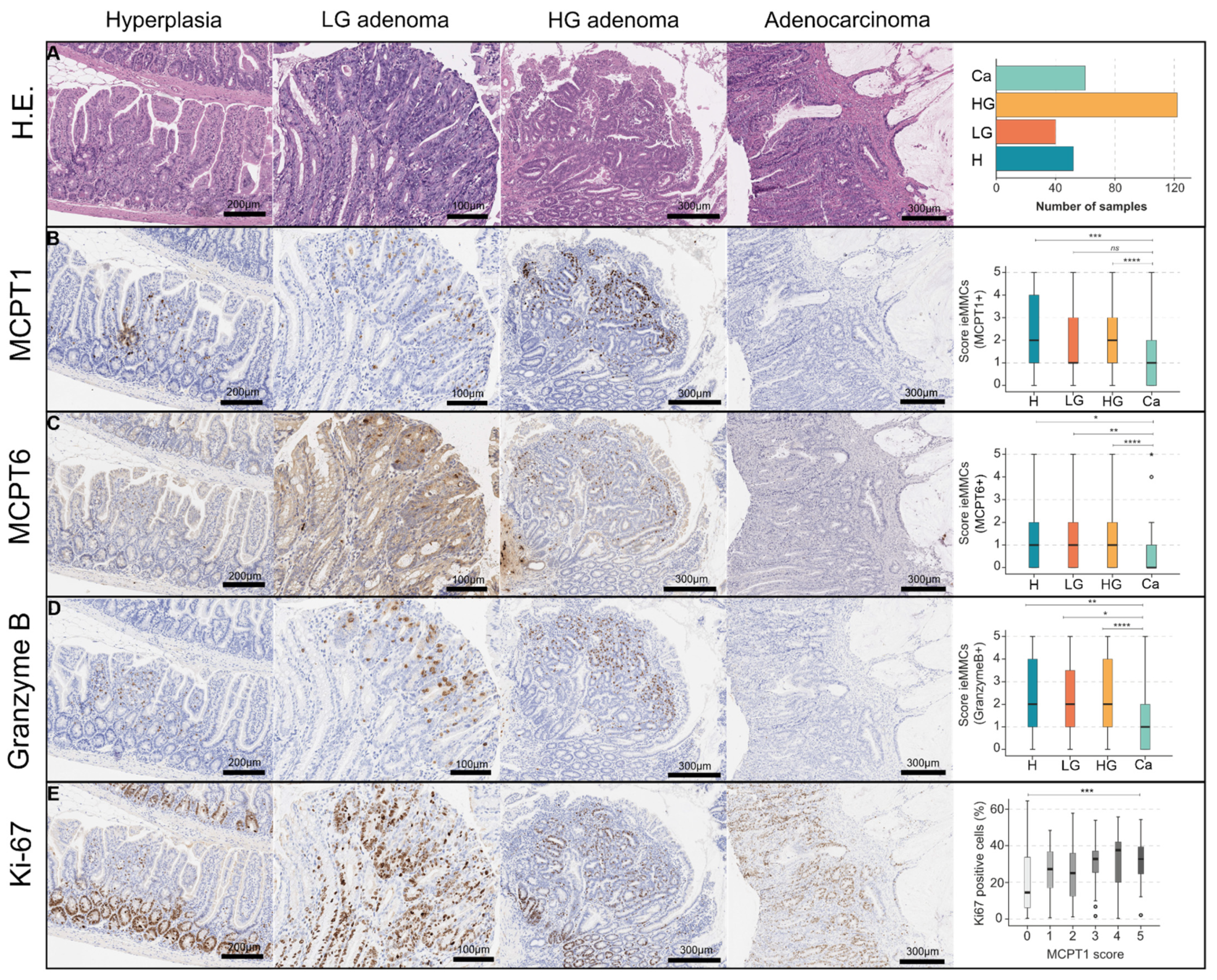 Cancers 14 02248 g006