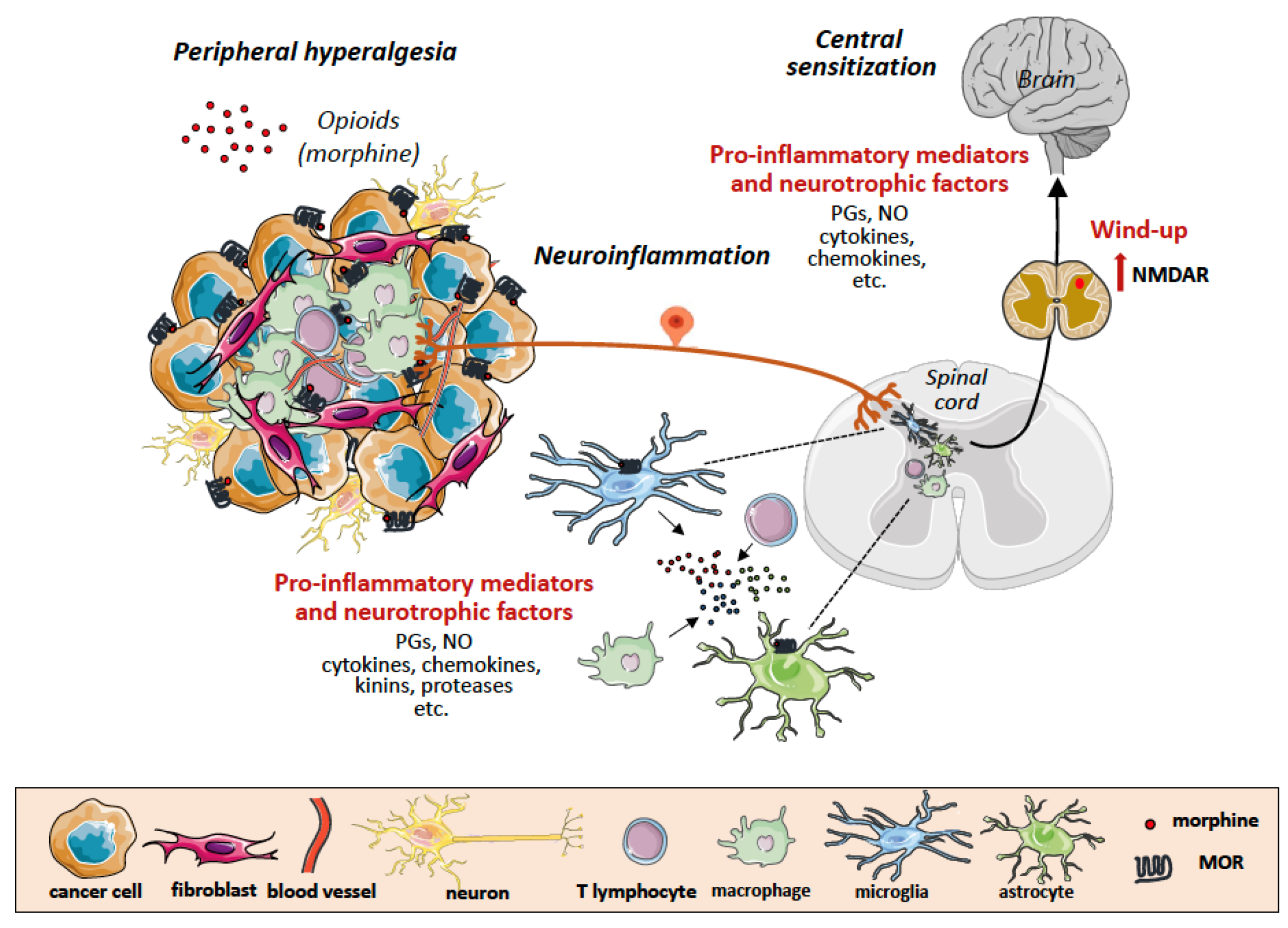 Cancers 14 02253 g002 550