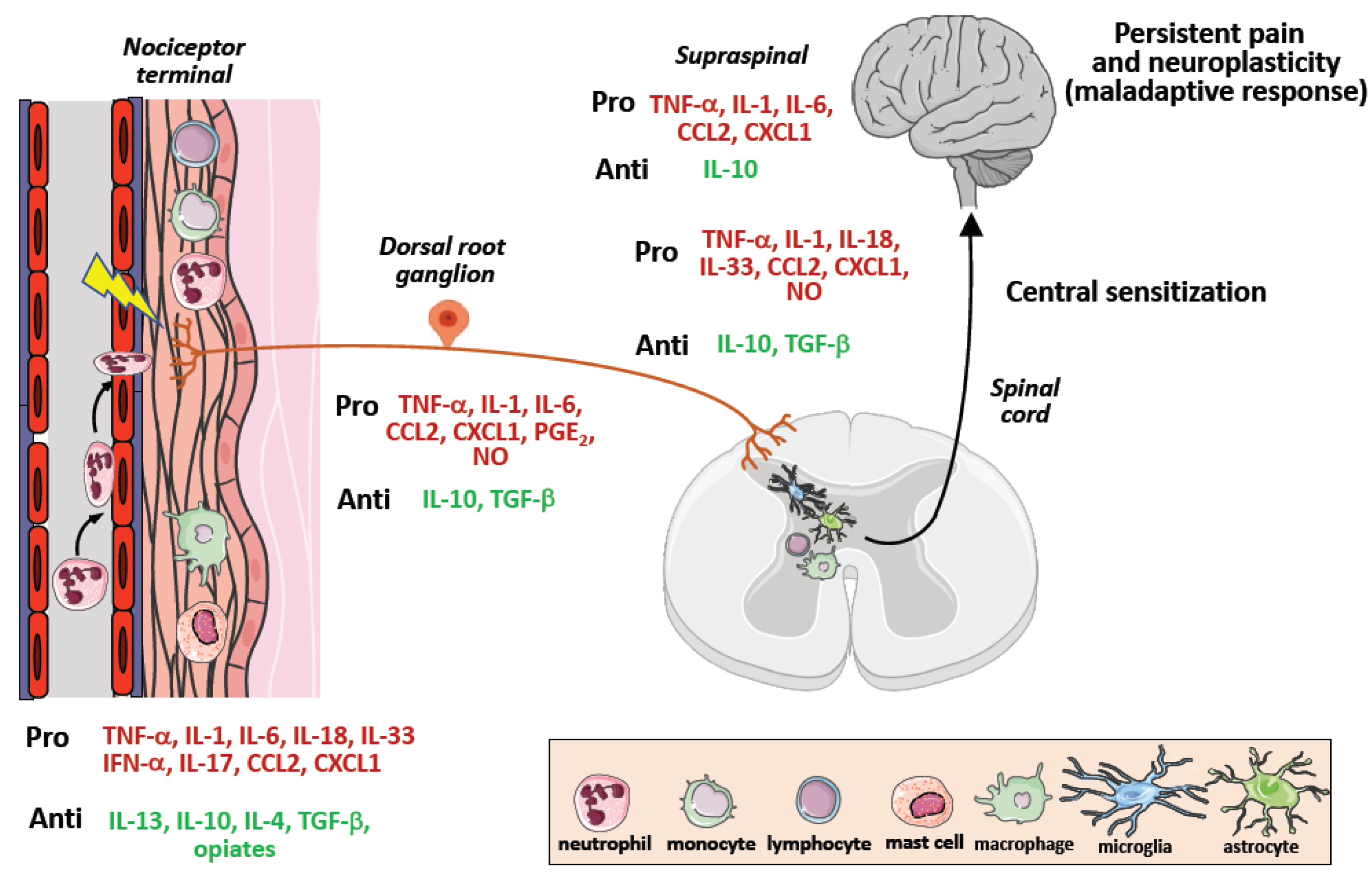 Cancers 14 02253 g003 550