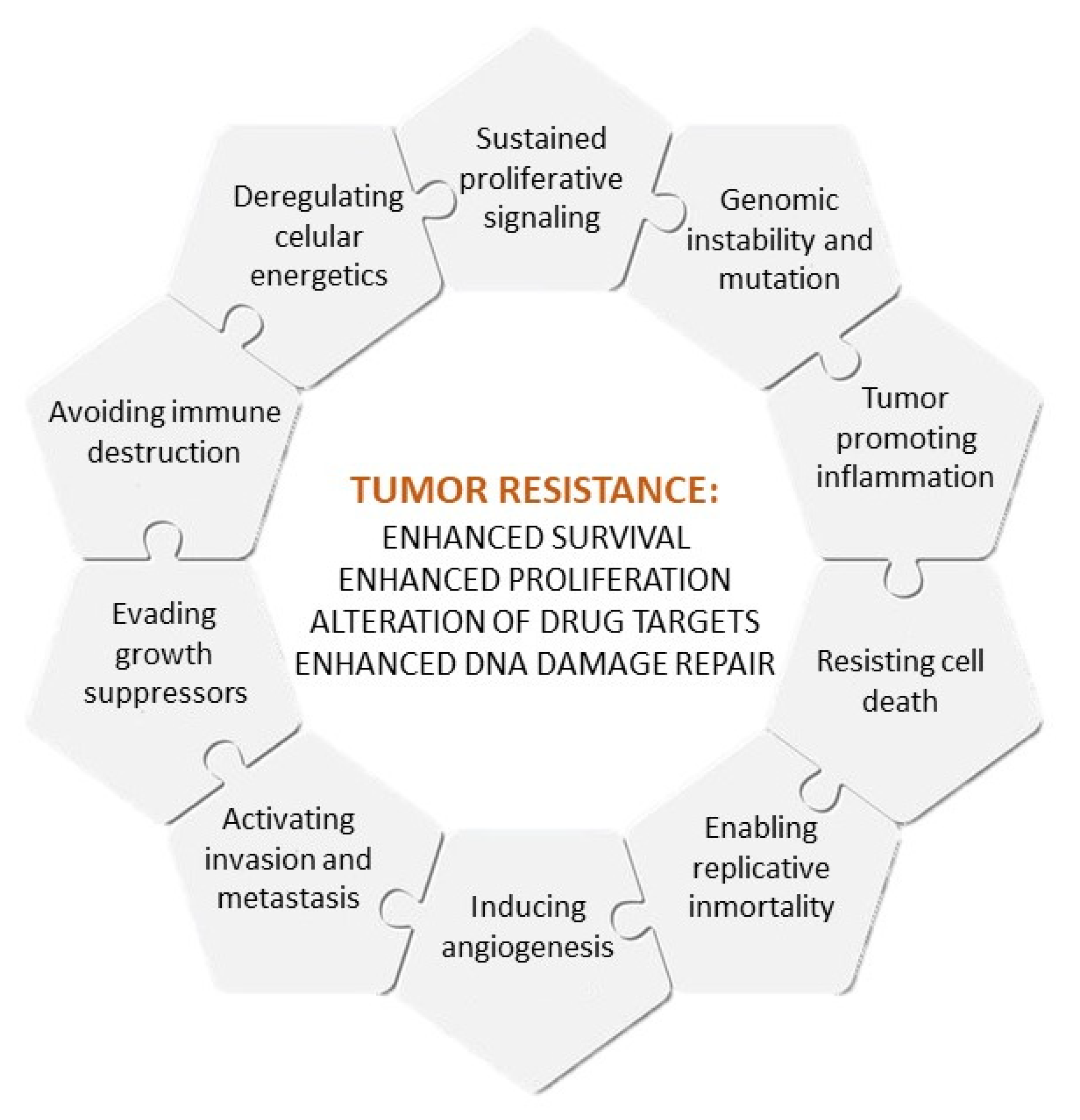 Cancers 14 02255 g001 Cancers 14 02255 g001