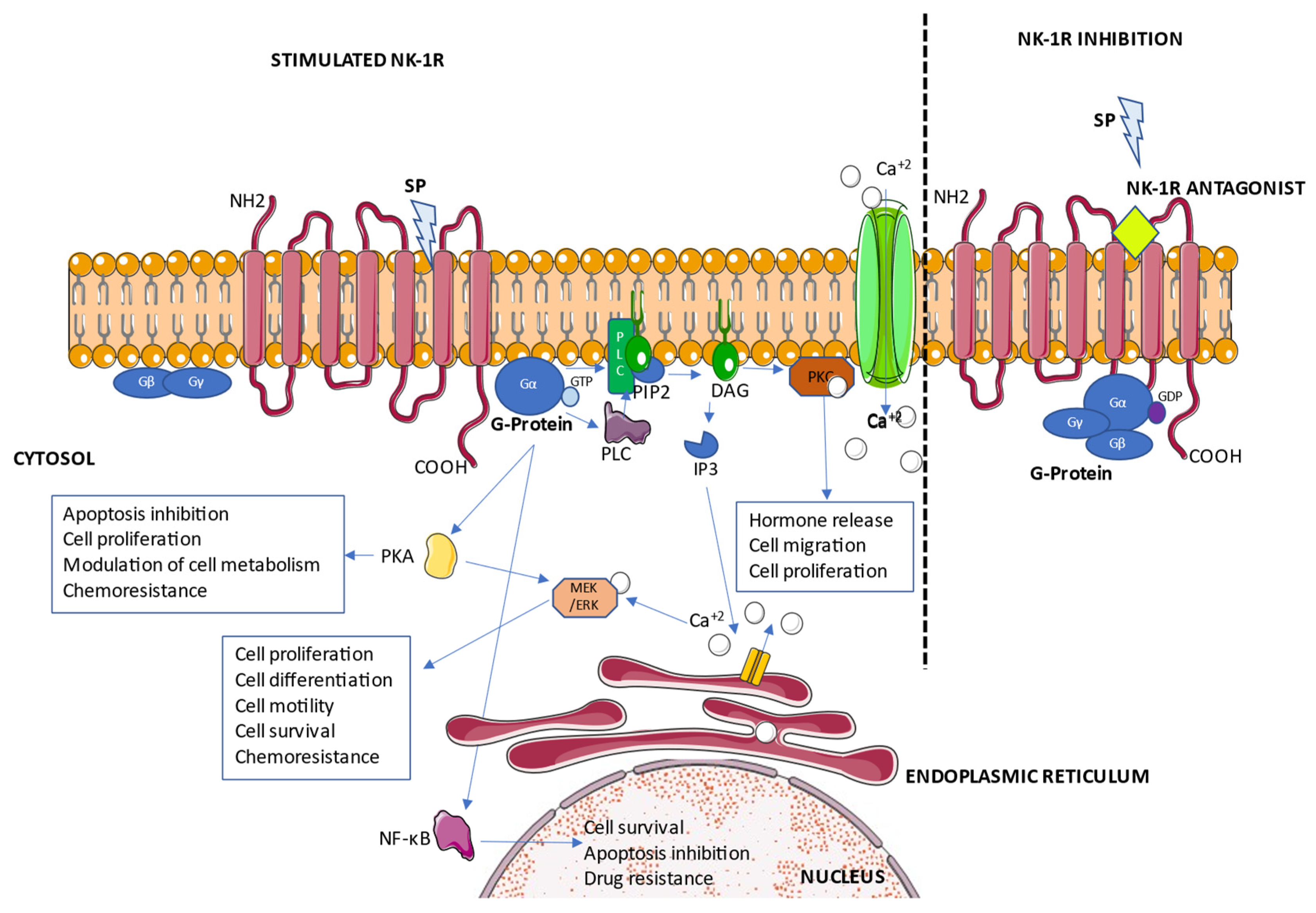 Cancers 14 02255 g002 Cancers 14 02255 g002