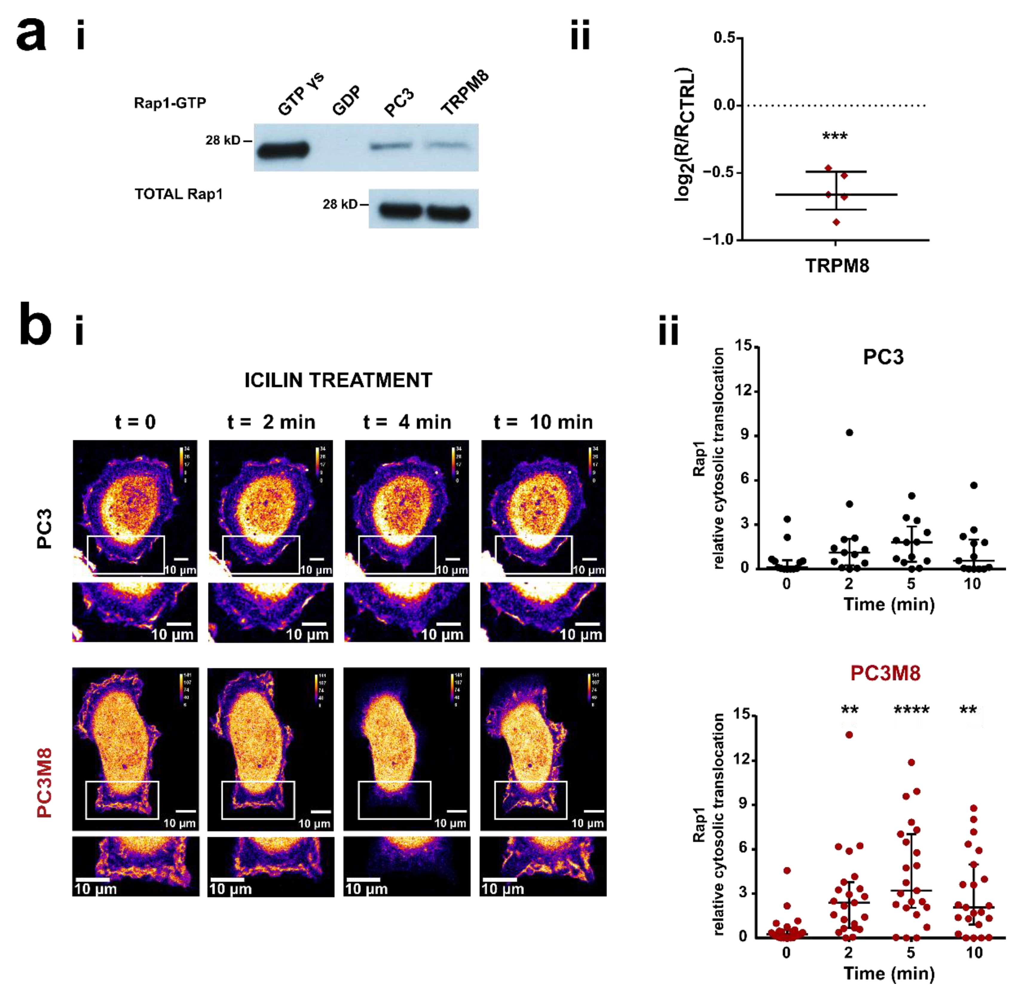 Cancers 14 02261 g002