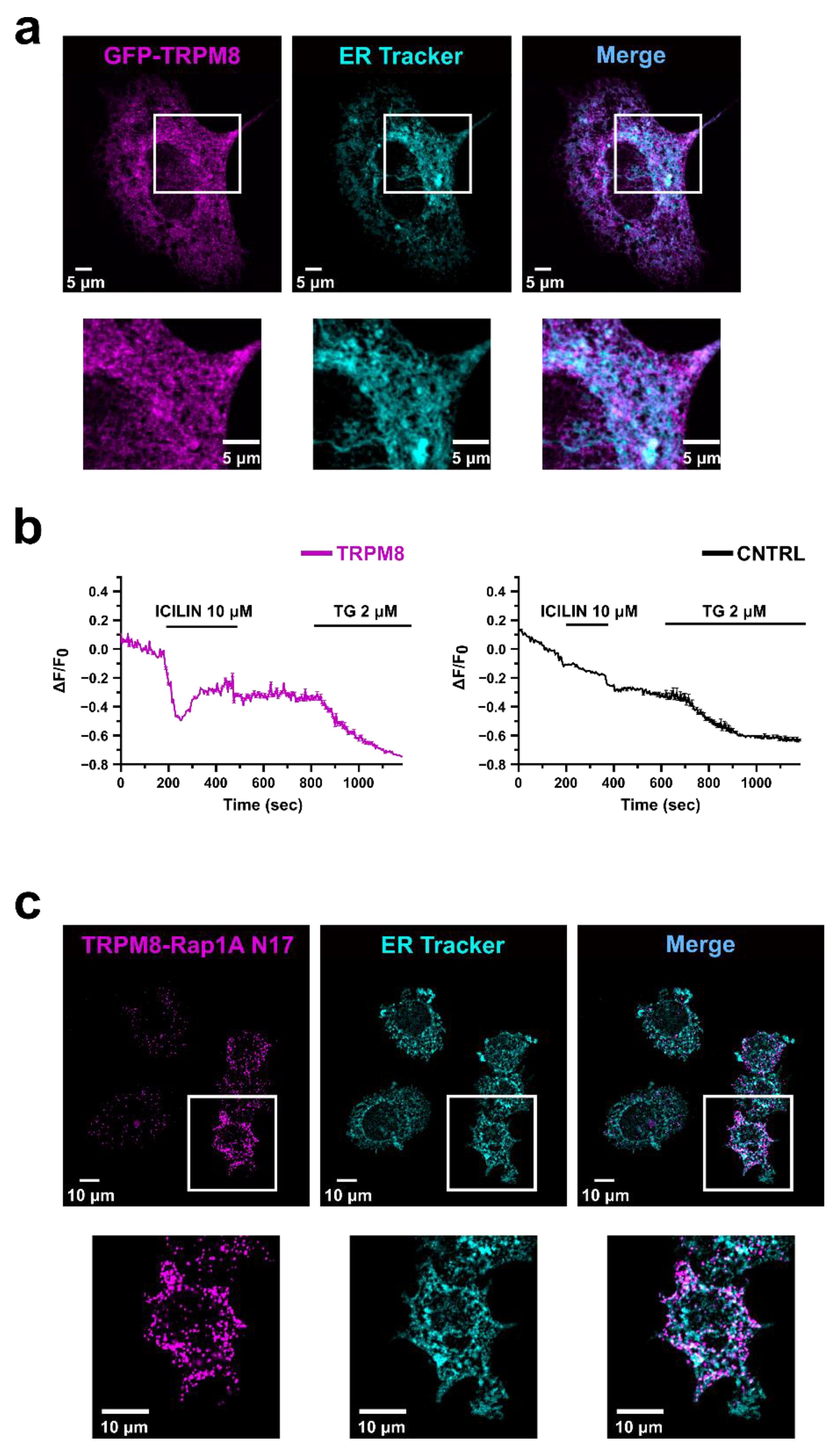 Cancers 14 02261 g003