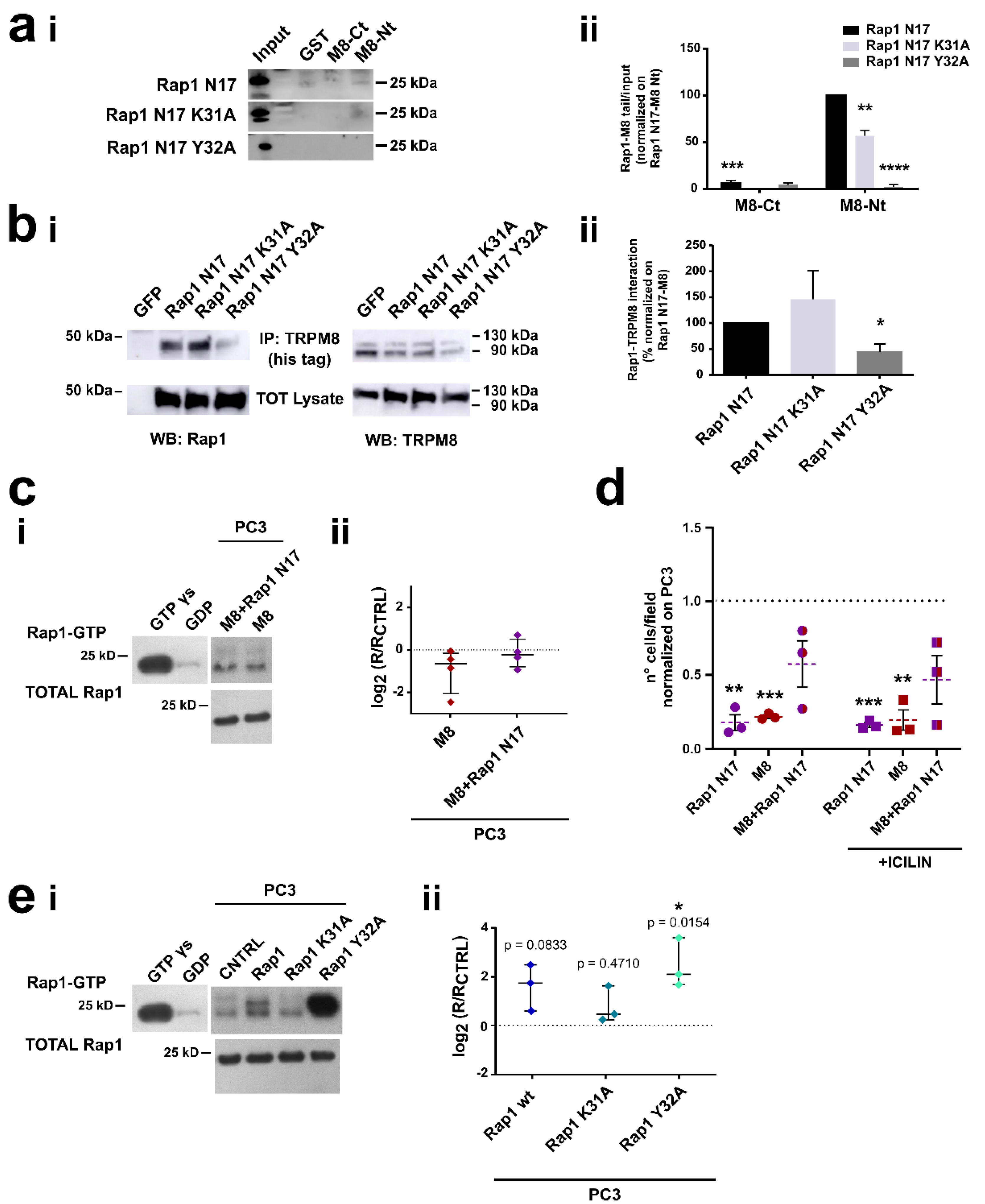 Cancers 14 02261 g005