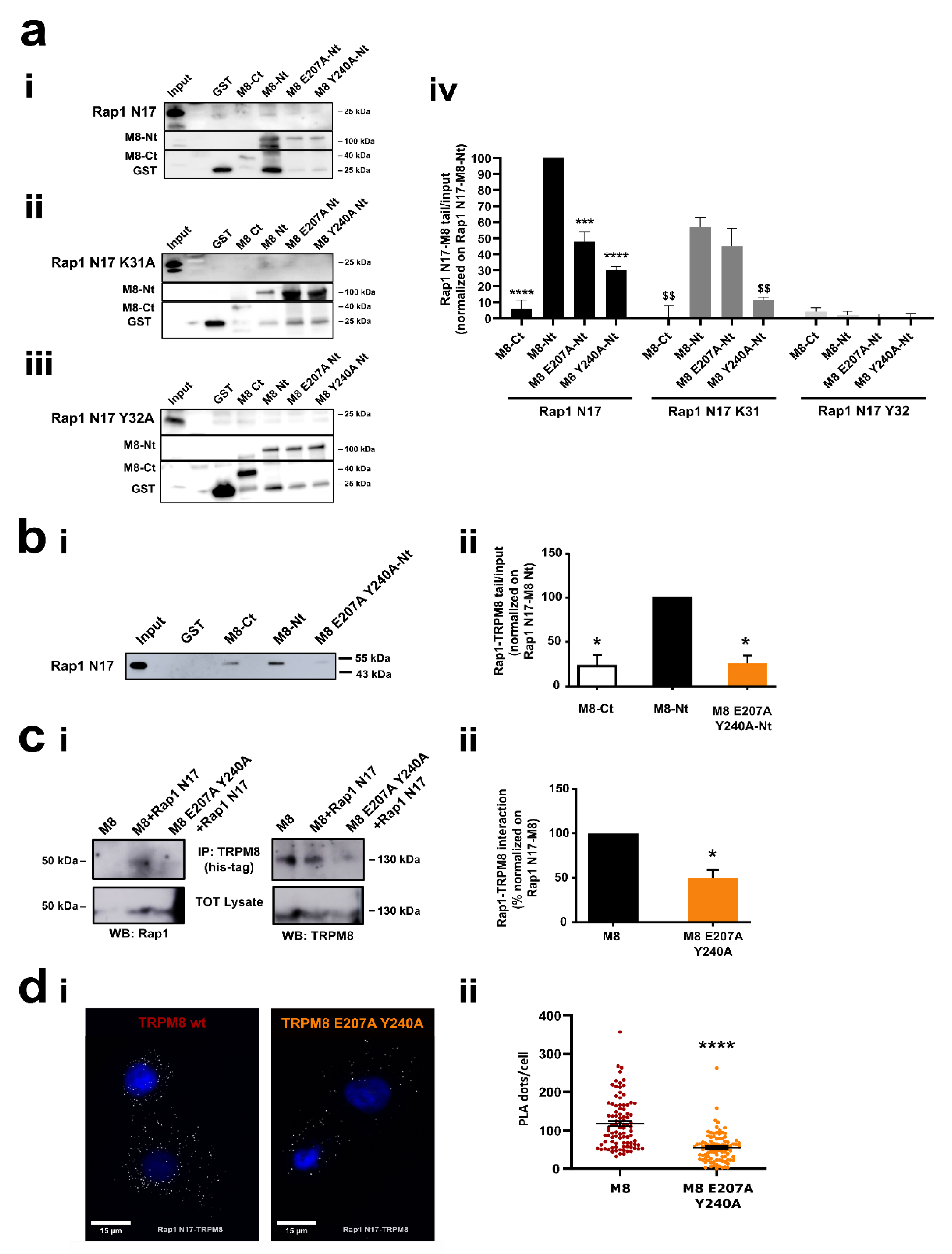 Cancers 14 02261 g006