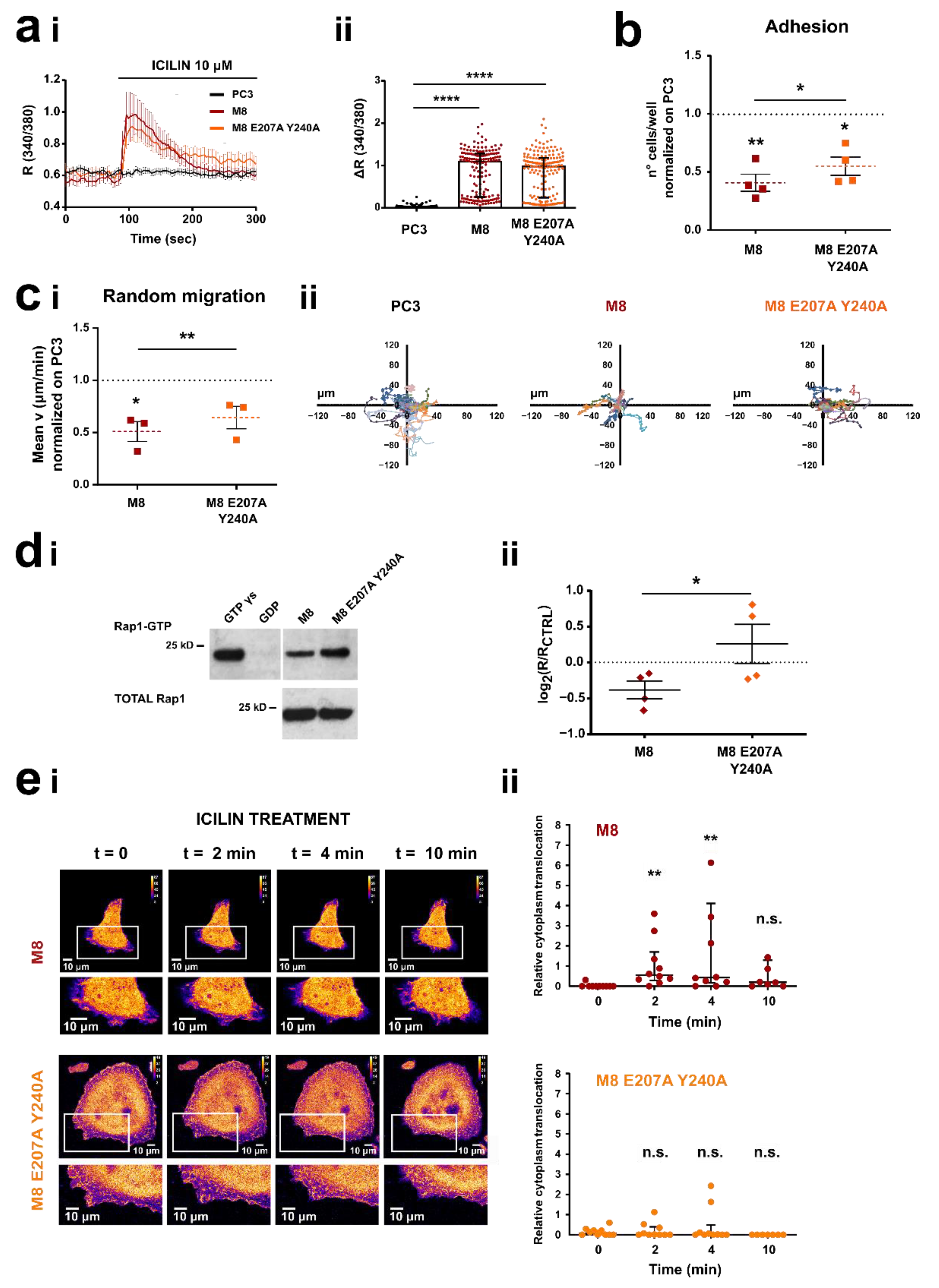 Cancers 14 02261 g007