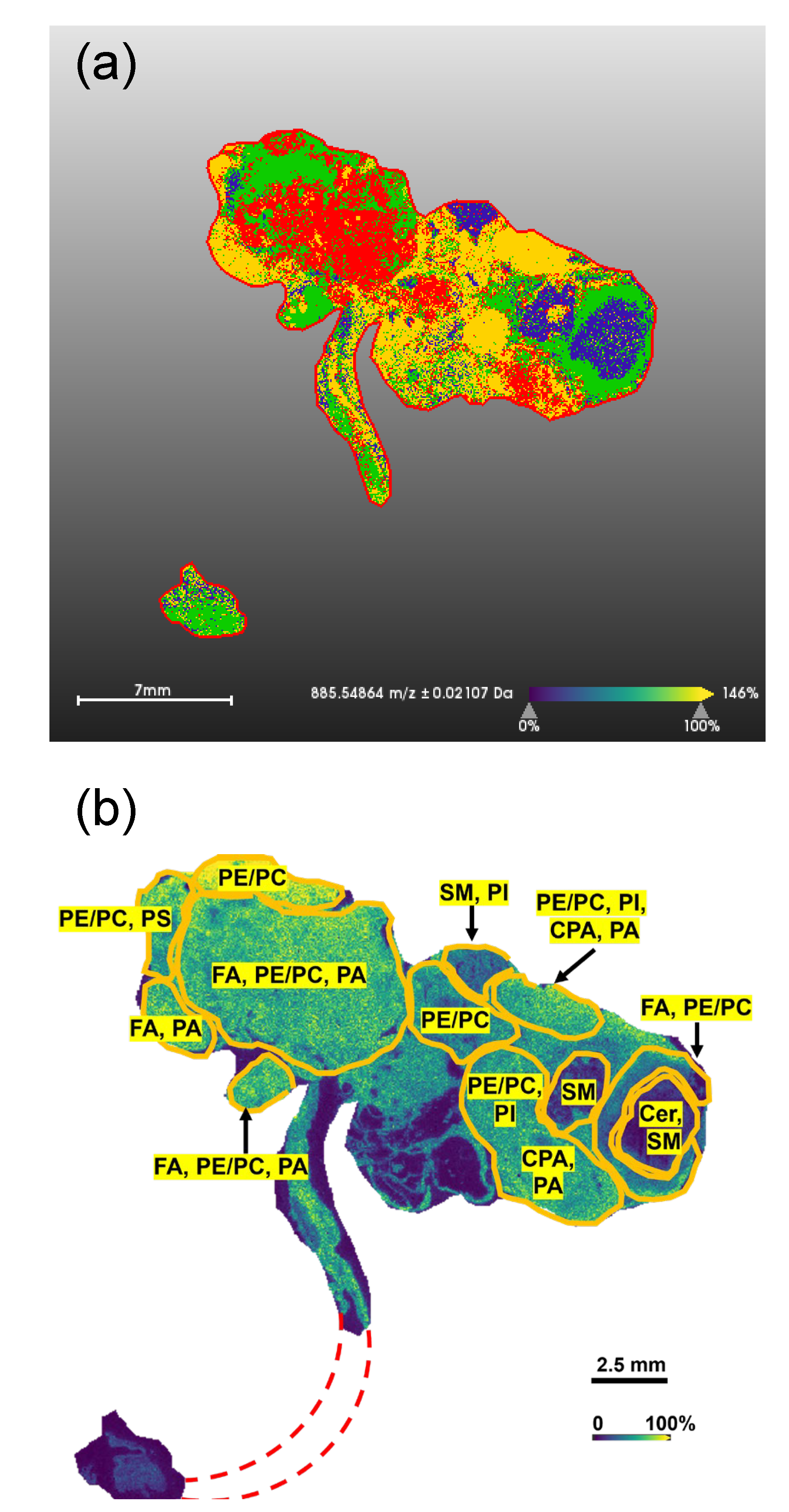 Cancers 14 02262 g003