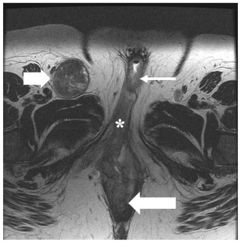 Cancers 14 02264 g006 550