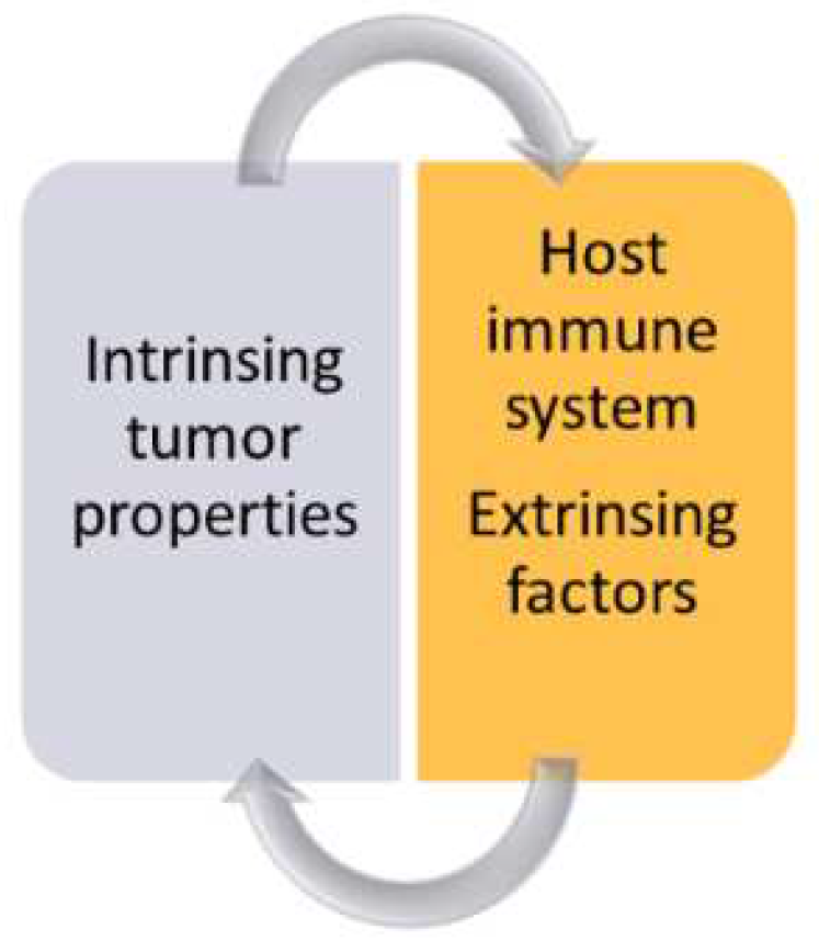 Cancers 14 02265 g003 550