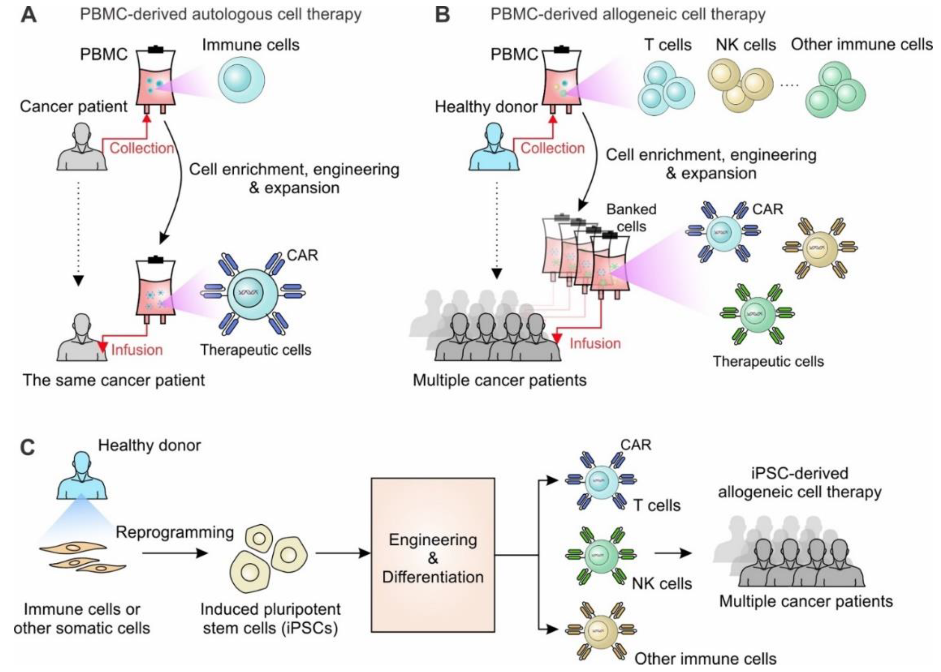 Cancers 14 02266 g001 550